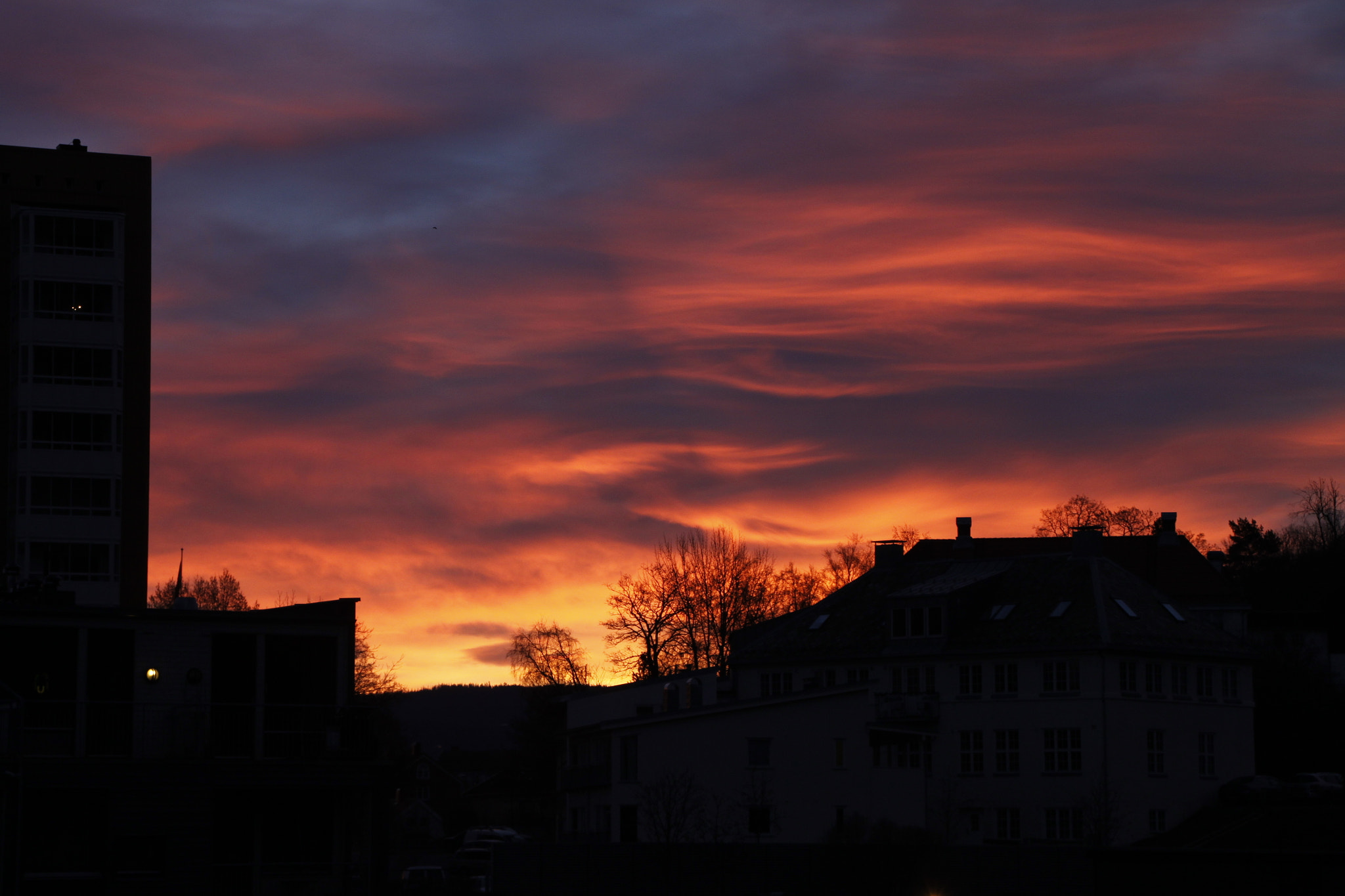 Canon EOS 500D (EOS Rebel T1i / EOS Kiss X3) sample photo. What a morning photography