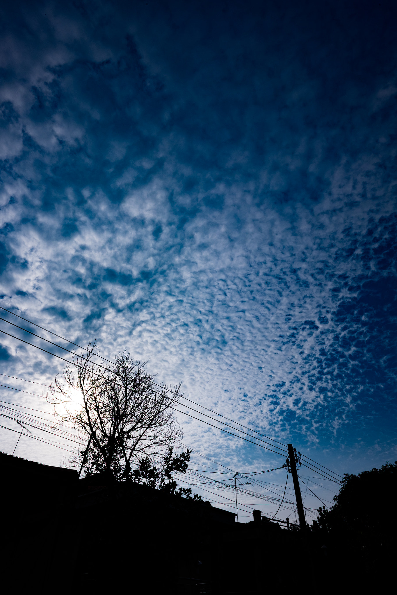 Fujifilm X-E2 + Fujifilm XF 14mm F2.8 R sample photo. Breathe photography