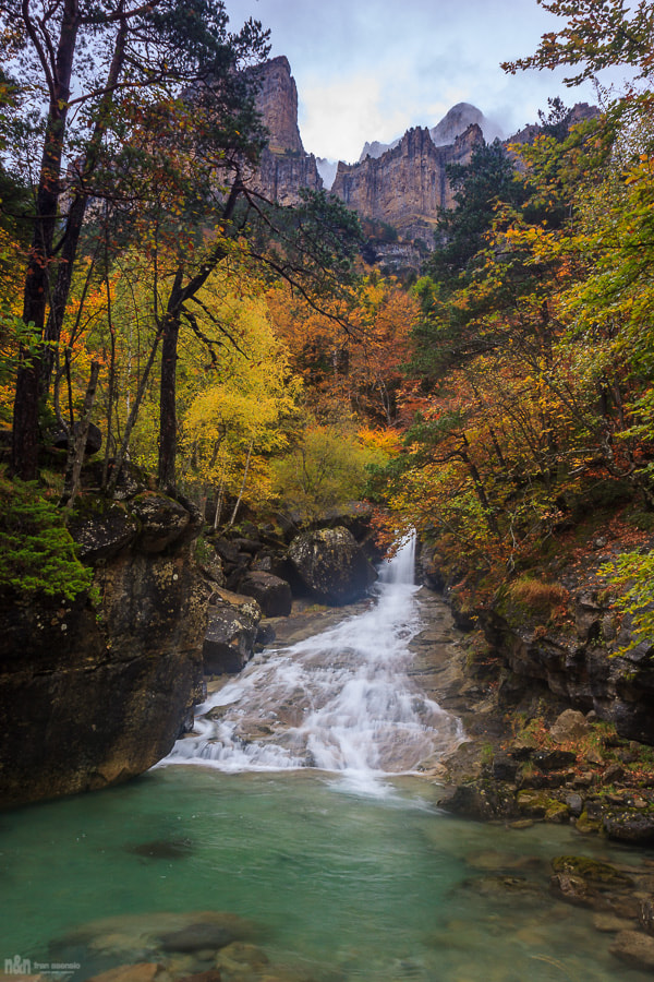 Canon EOS 50D + Canon EF 16-35mm F2.8L USM sample photo. Otoño que viene photography