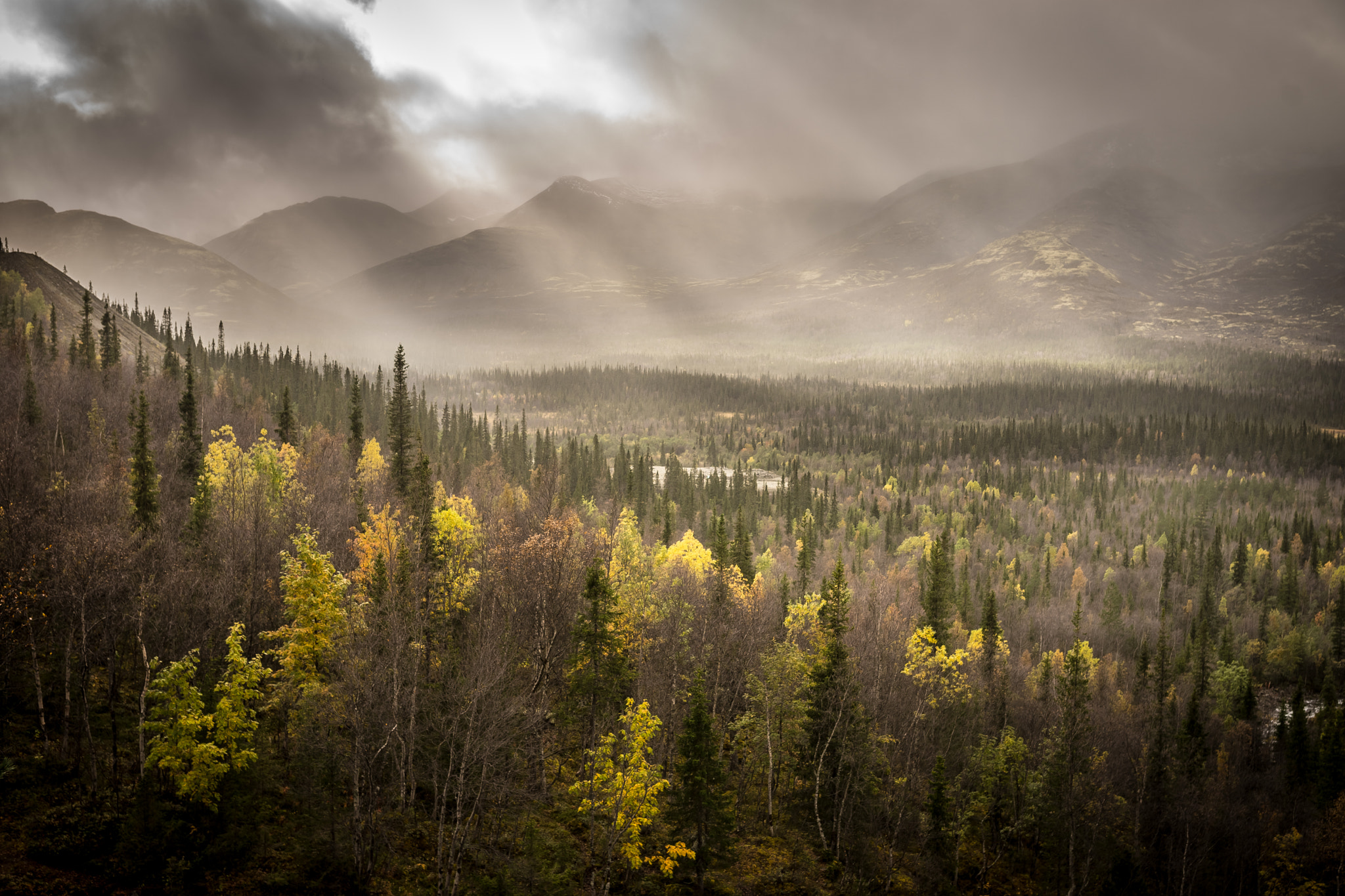 Sony a7 sample photo. Autumn in the mountains photography