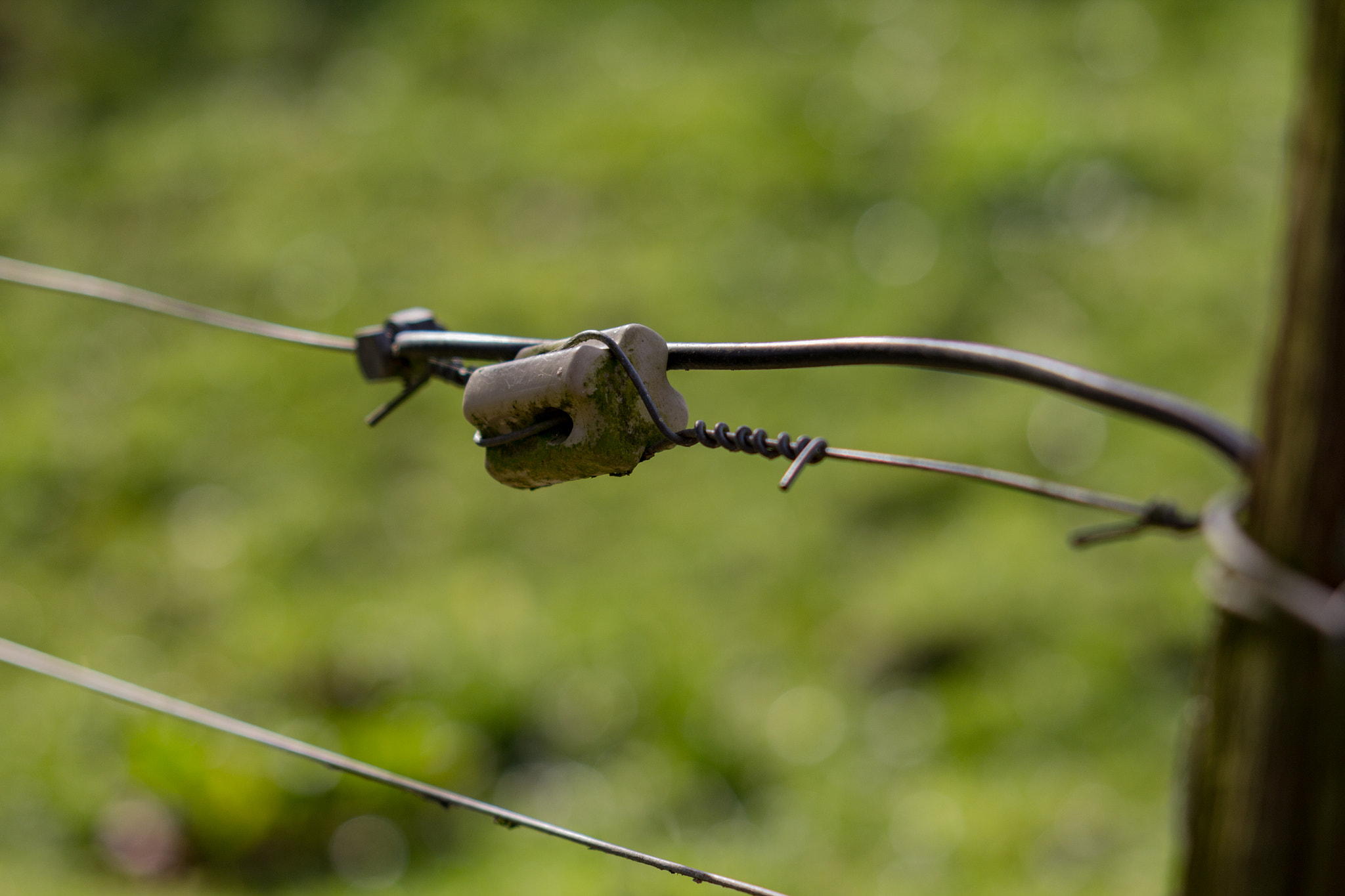 Sigma 70-200mm F2.8 EX DG OS HSM sample photo. Ka zap photography