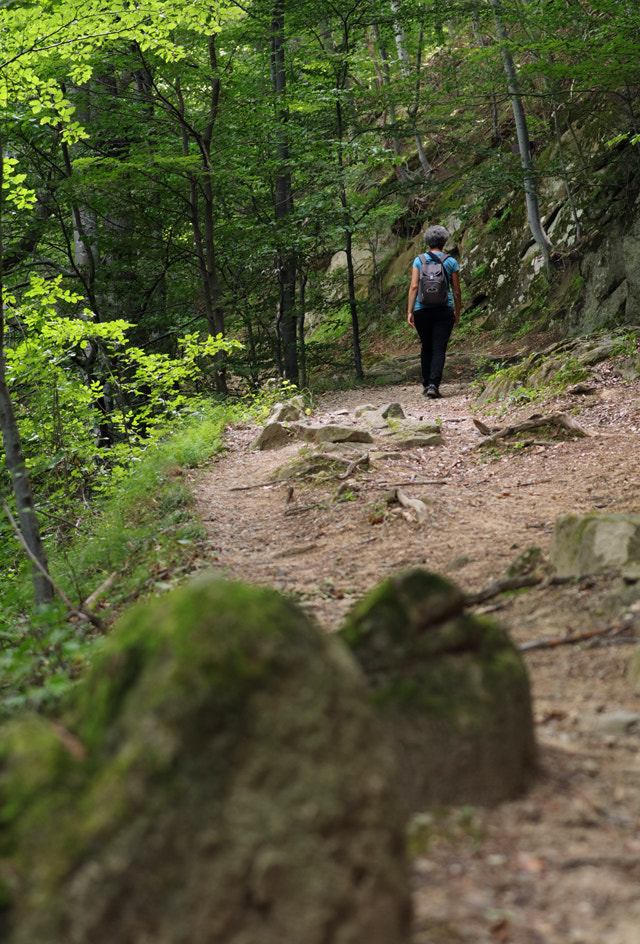 Canon EF 70-300mm F4-5.6L IS USM sample photo. Mountain trail photography