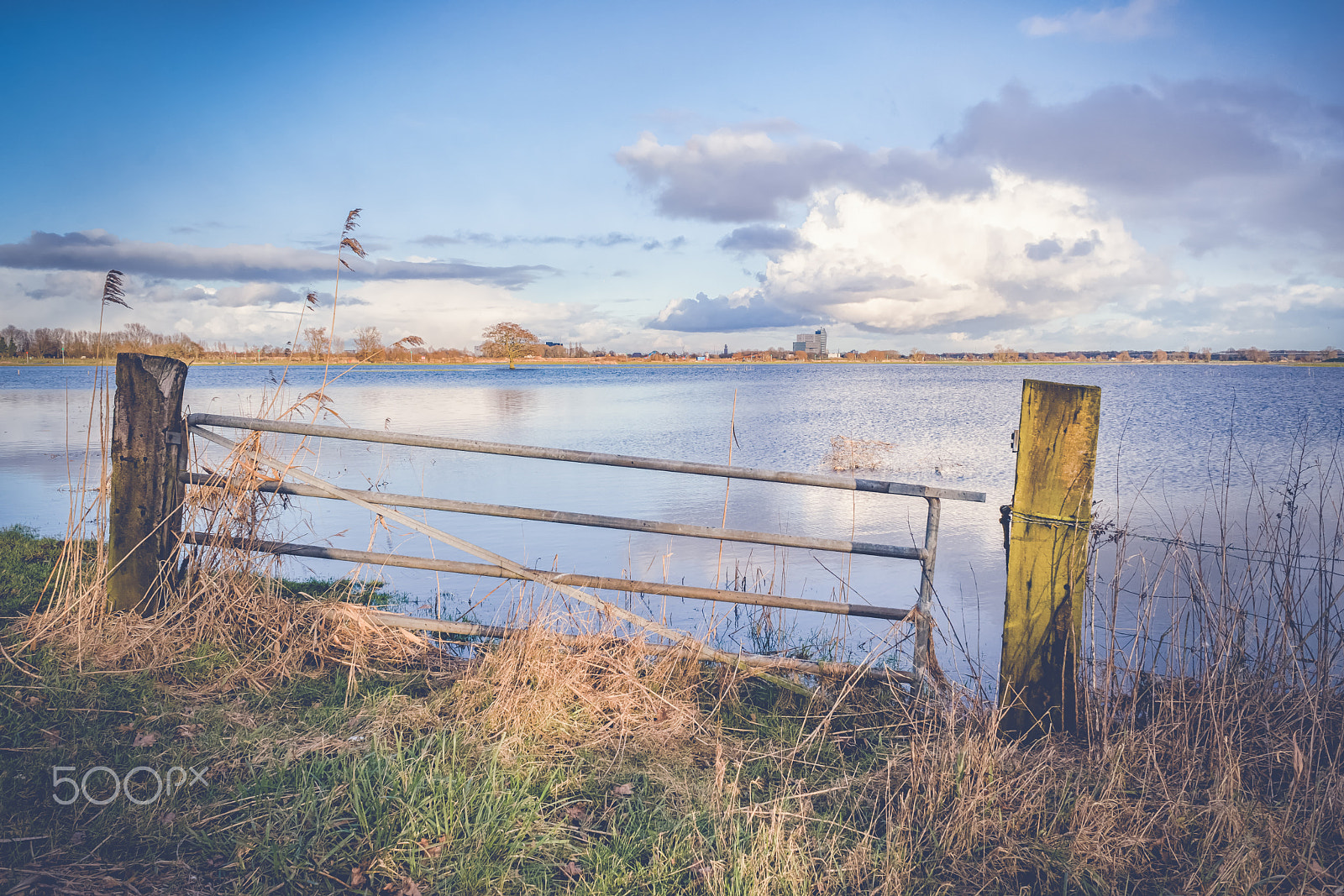 Sony 28mm F2.8 sample photo. Rising water level in the floodplains of the river ijssel, with photography