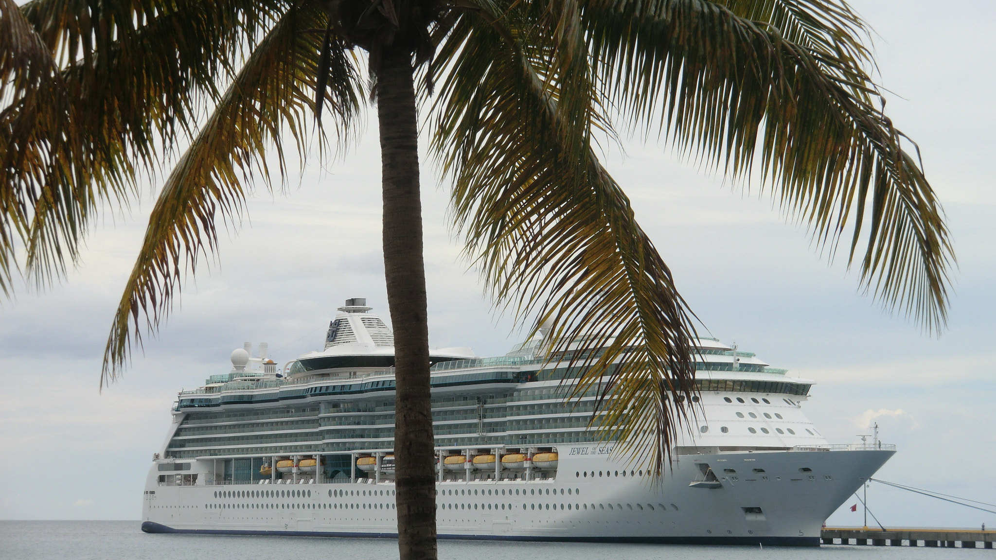 CASIO EX-H15 sample photo. Jewel of the seas @ antigua photography