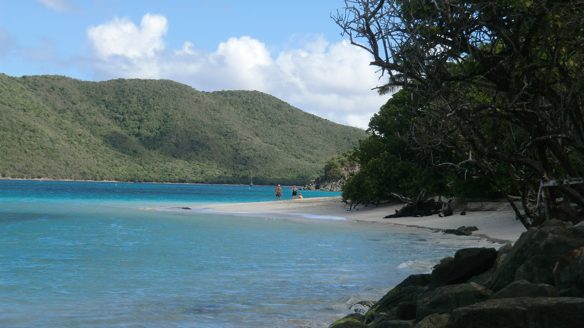 CASIO EX-H15 sample photo. Us virgin islands_st johns_trunk bay photography