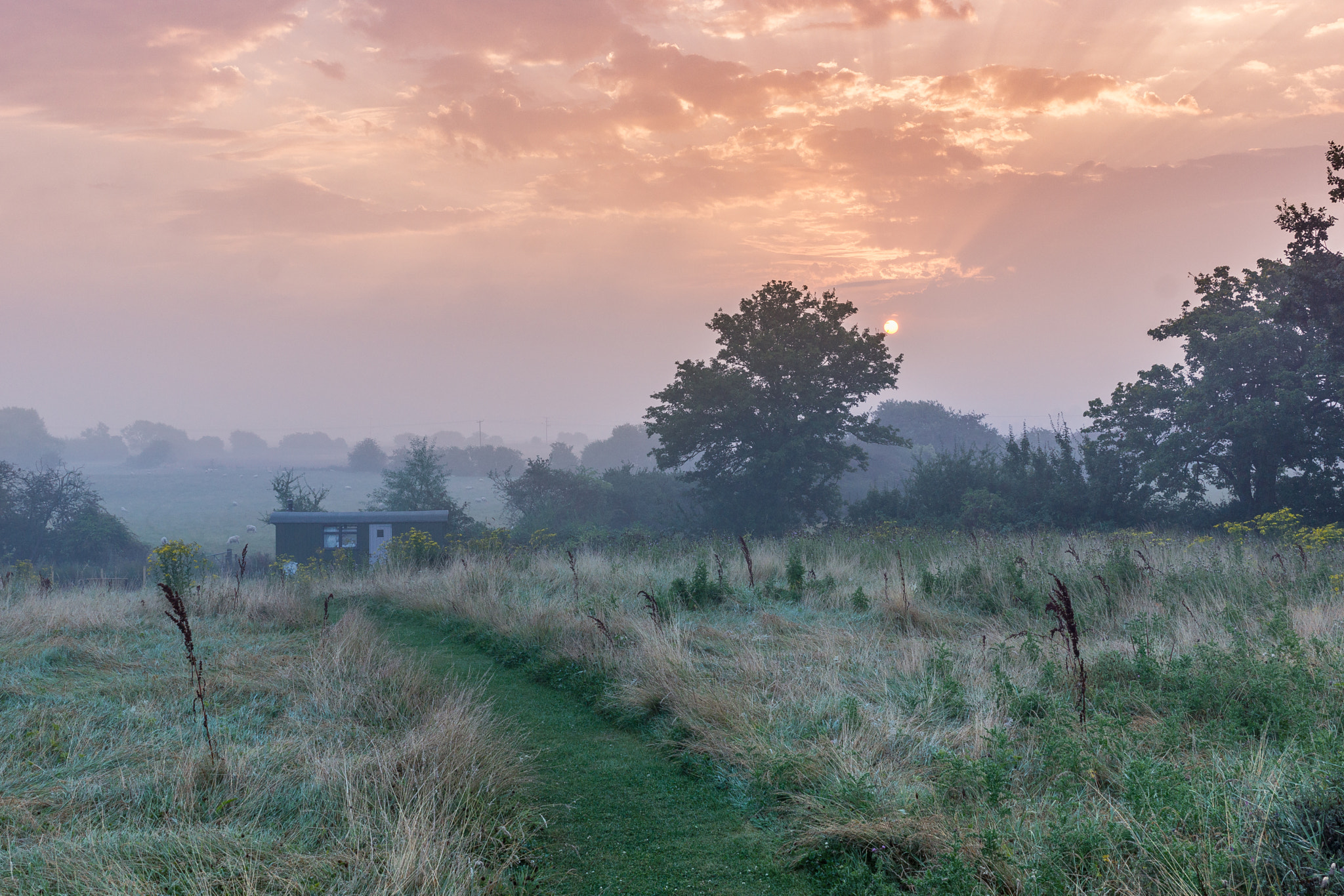 Sony SLT-A77 sample photo. Dawn after the storm, kent uk photography