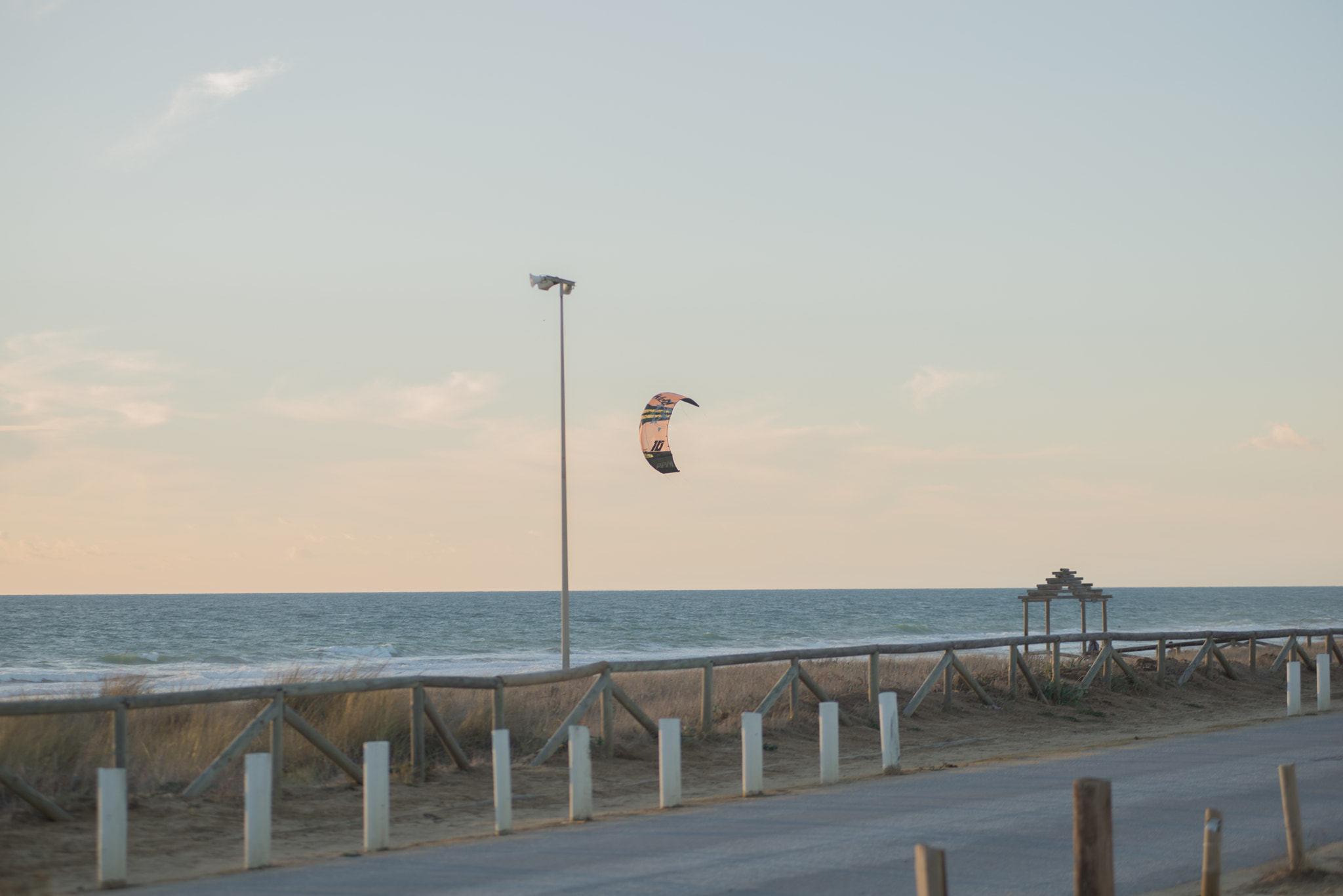 AF Zoom-Nikkor 80-200mm f/2.8 ED sample photo. Palmar photography