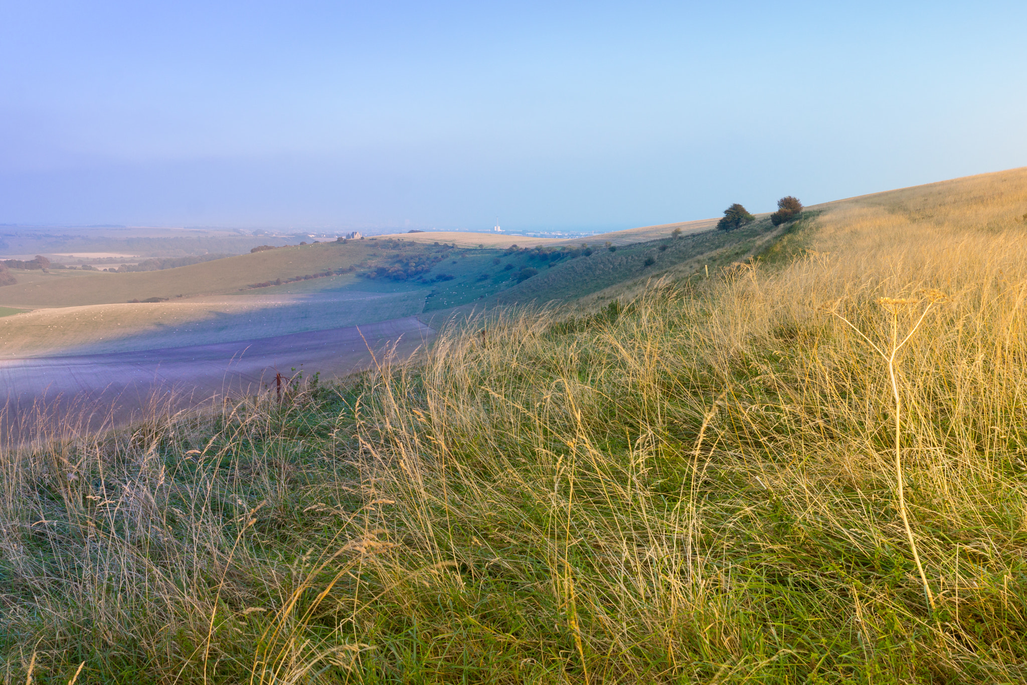 Sony SLT-A77 sample photo. Colours of autumn, south downs in sussex photography