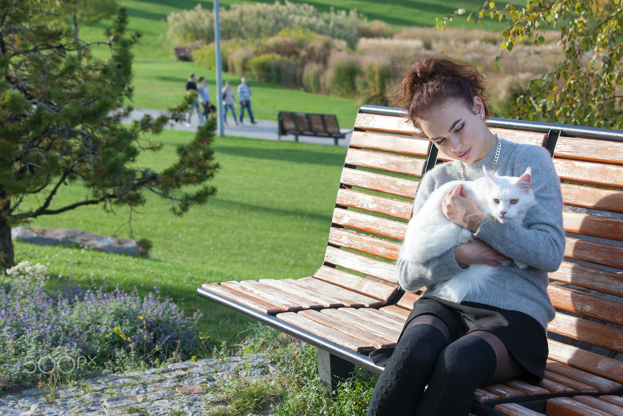young lady with Maine Coon cat