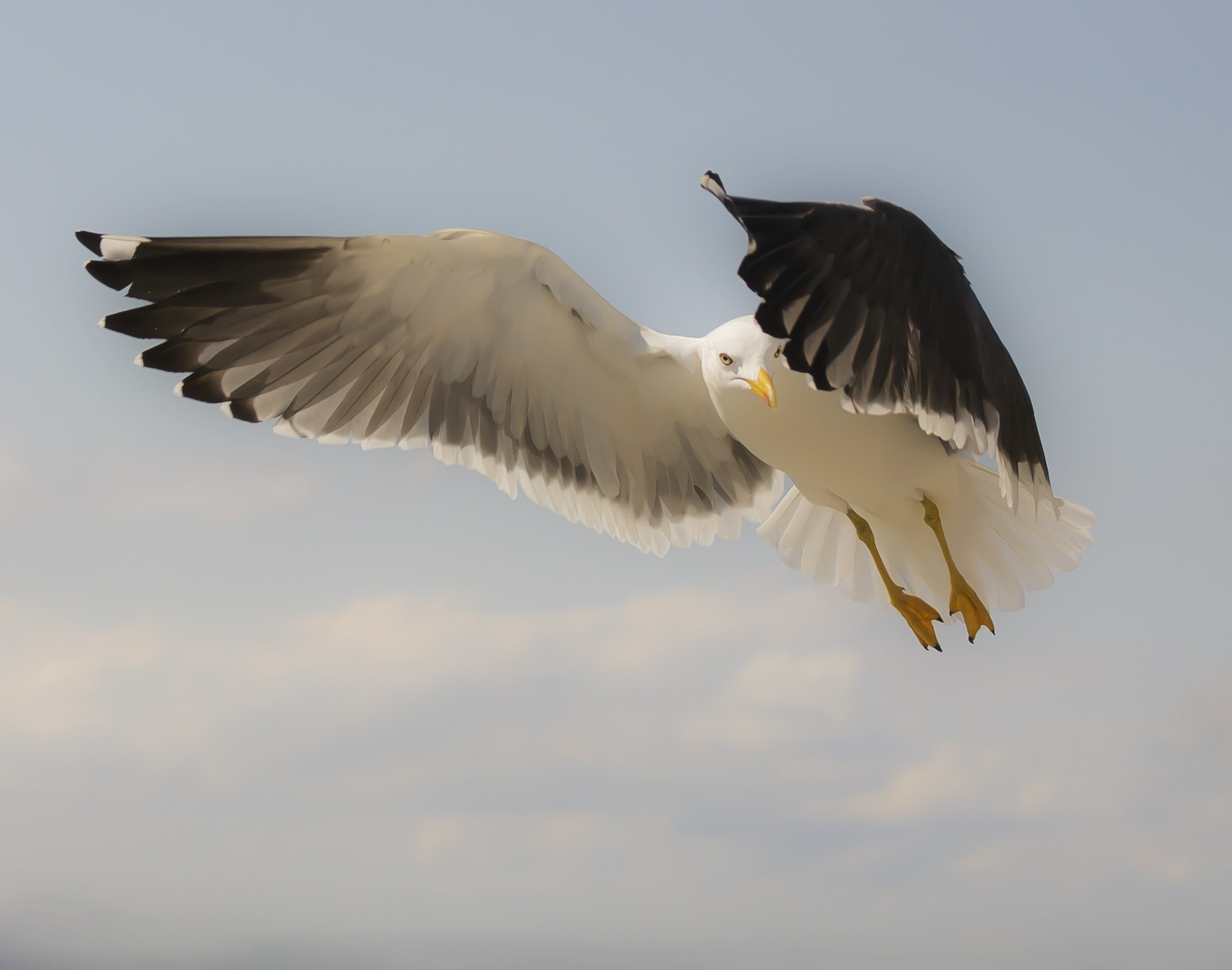 Canon EOS 5D sample photo. Lentetexel photo aorncuzkln photography