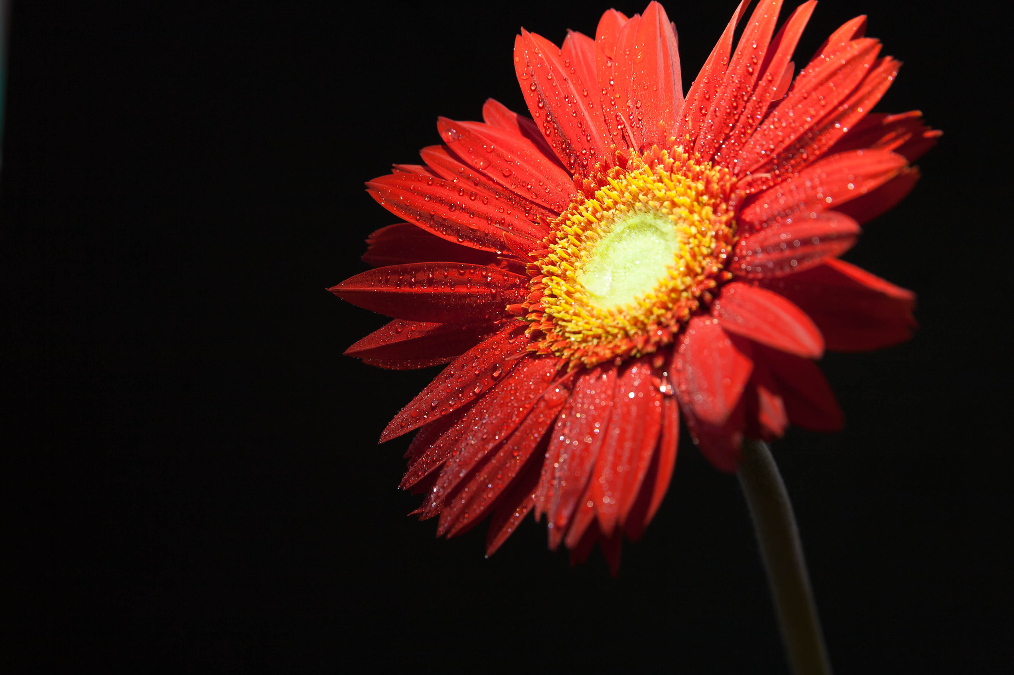 Canon EOS 5D sample photo