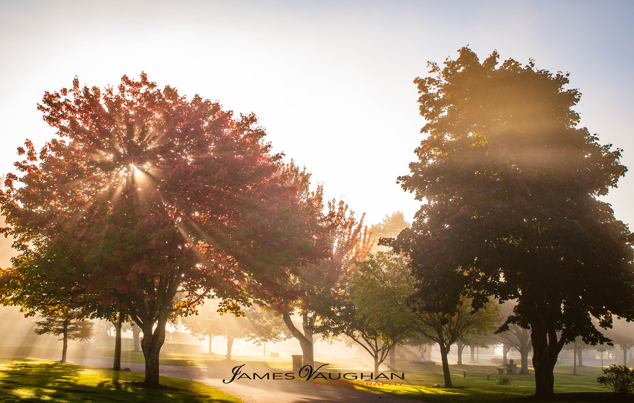 Nikon D90 + AF Zoom-Nikkor 35-70mm f/2.8D sample photo. Misty morning light photography