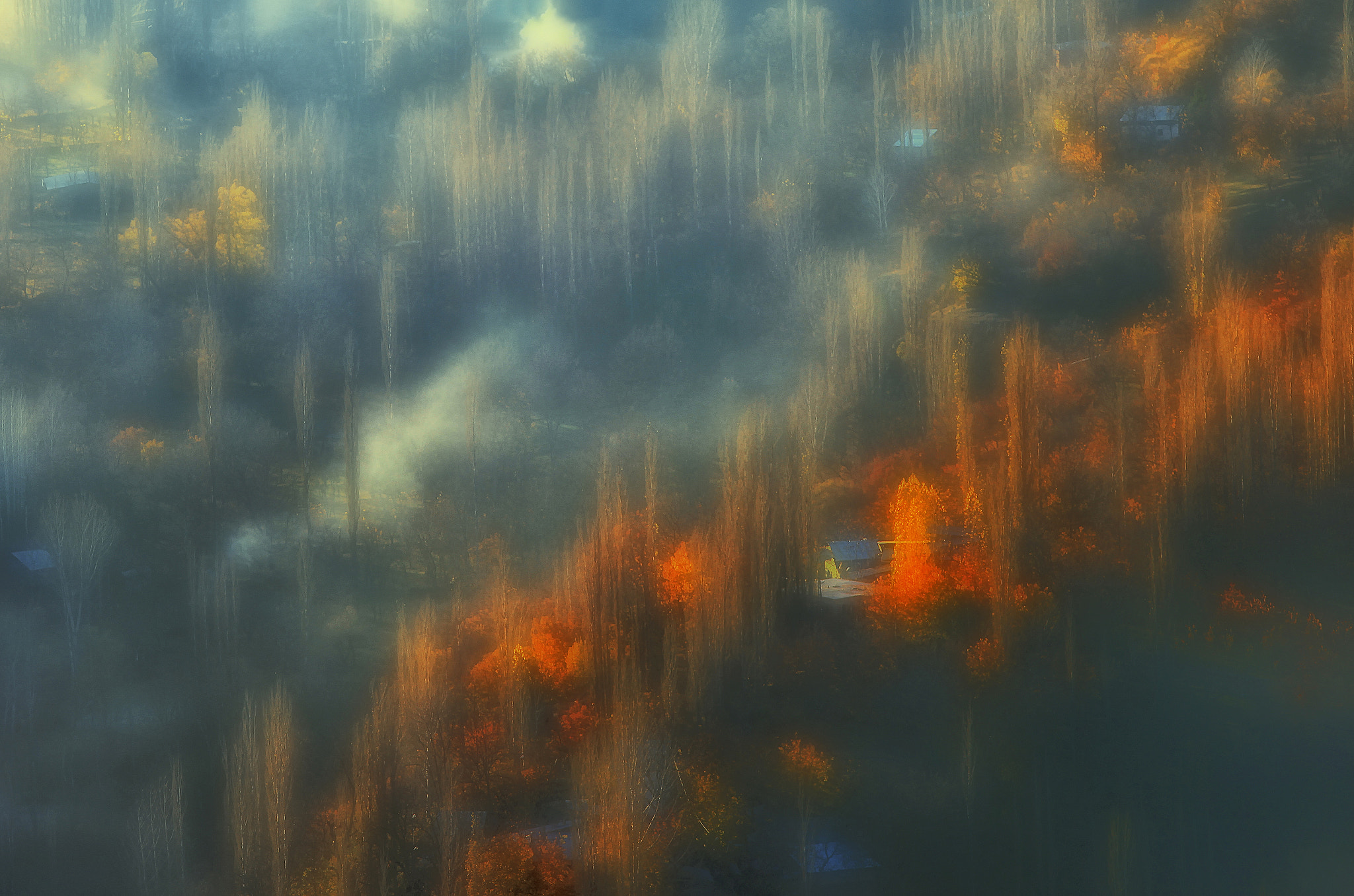 Canon EF 300mm F4L IS USM sample photo. Fall photography