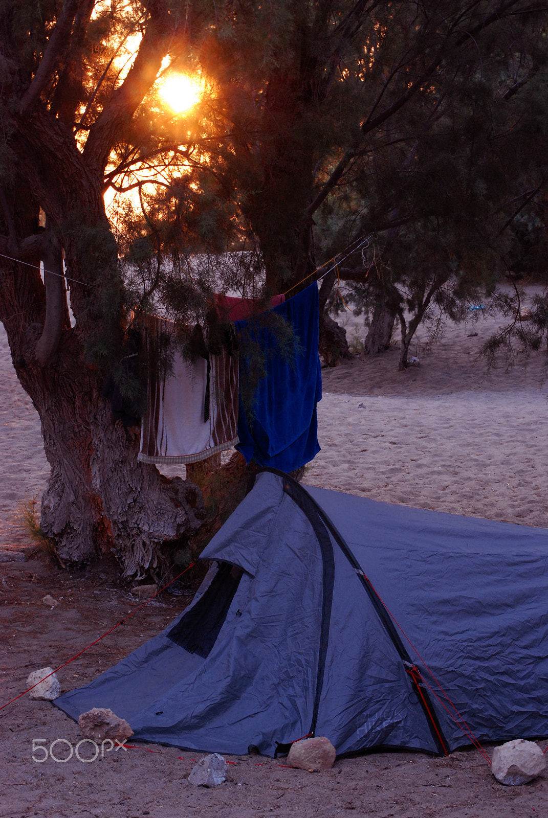 Nikon D80 sample photo. Living like a nomad photography