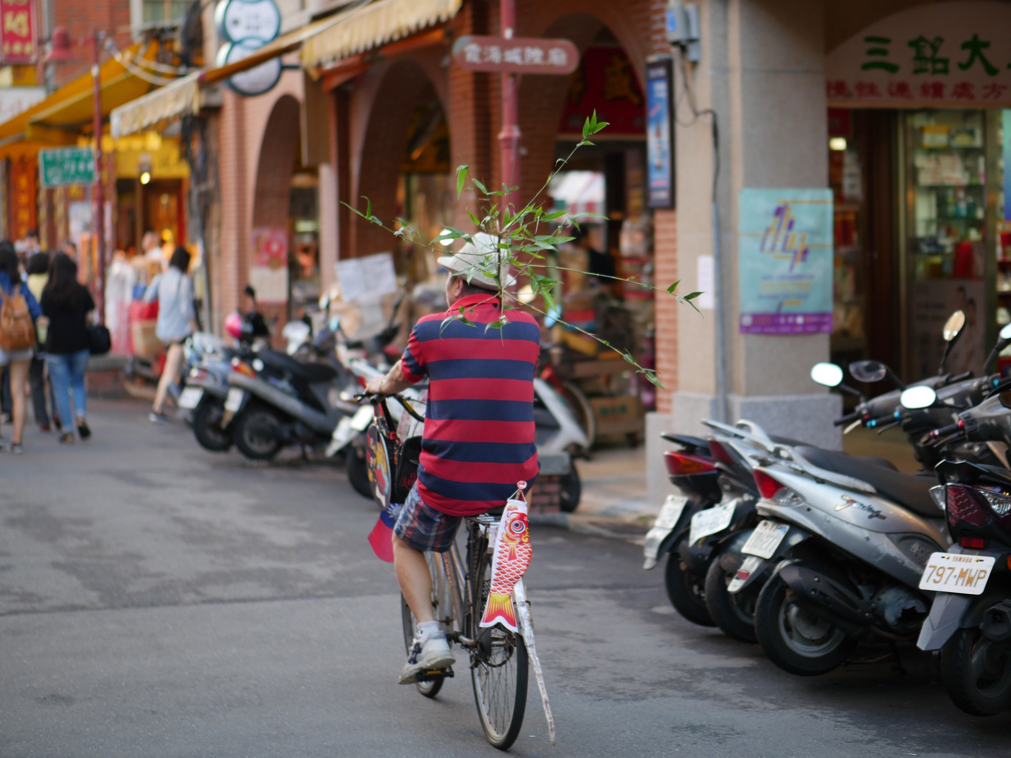 Panasonic Leica DG Nocticron 42.5mm F1.2 ASPH OIS sample photo. A man, a bike, and some bamboo. photography