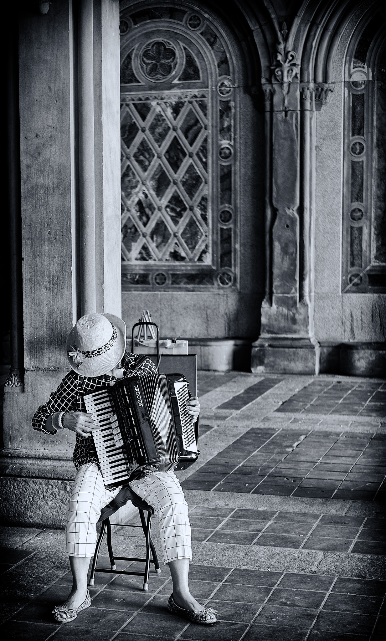 Fujifilm X-E2 + Fujifilm XF 35mm F2 R WR sample photo. Musician @central park photography