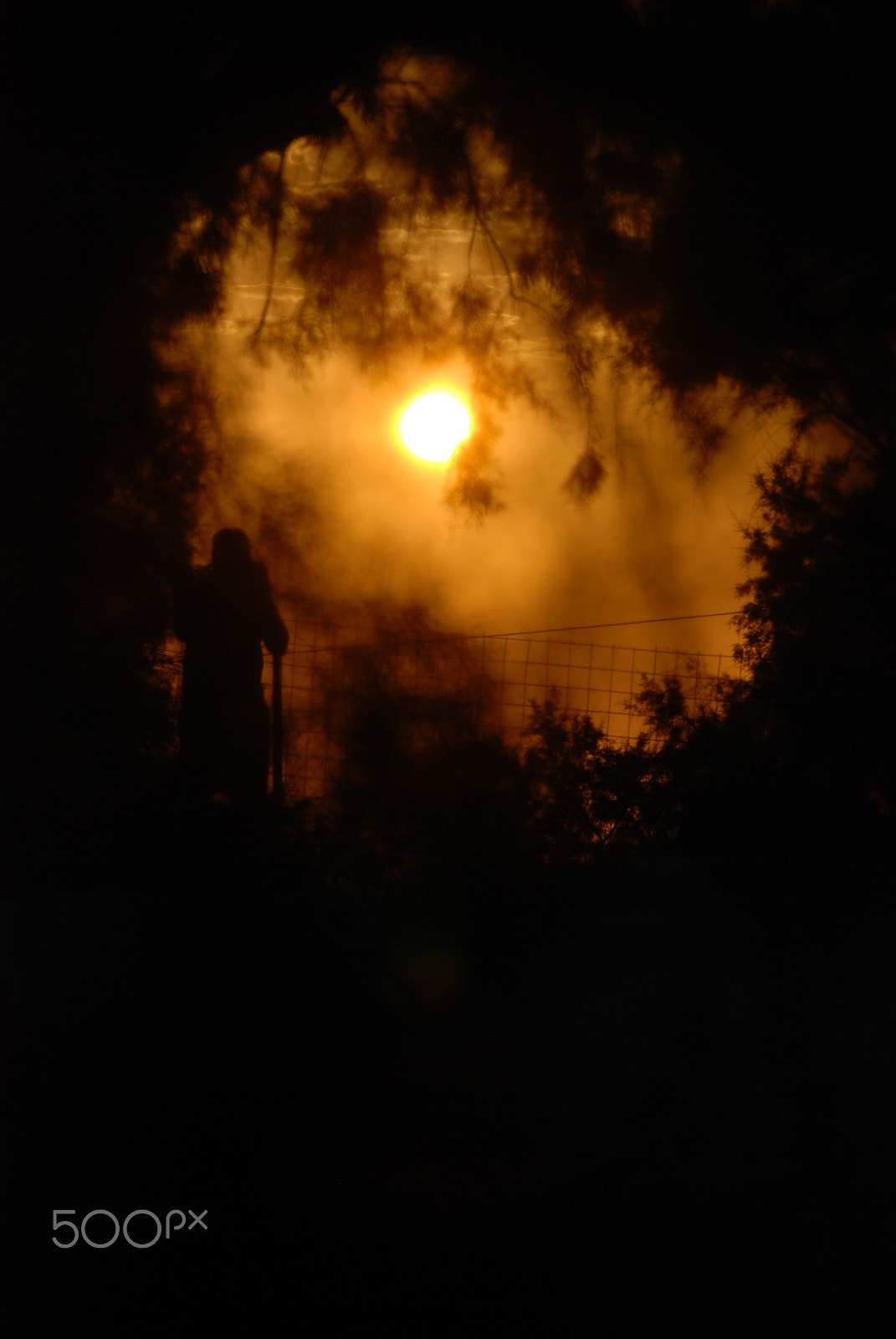 Nikon D80 sample photo. Catching a glimpse photography