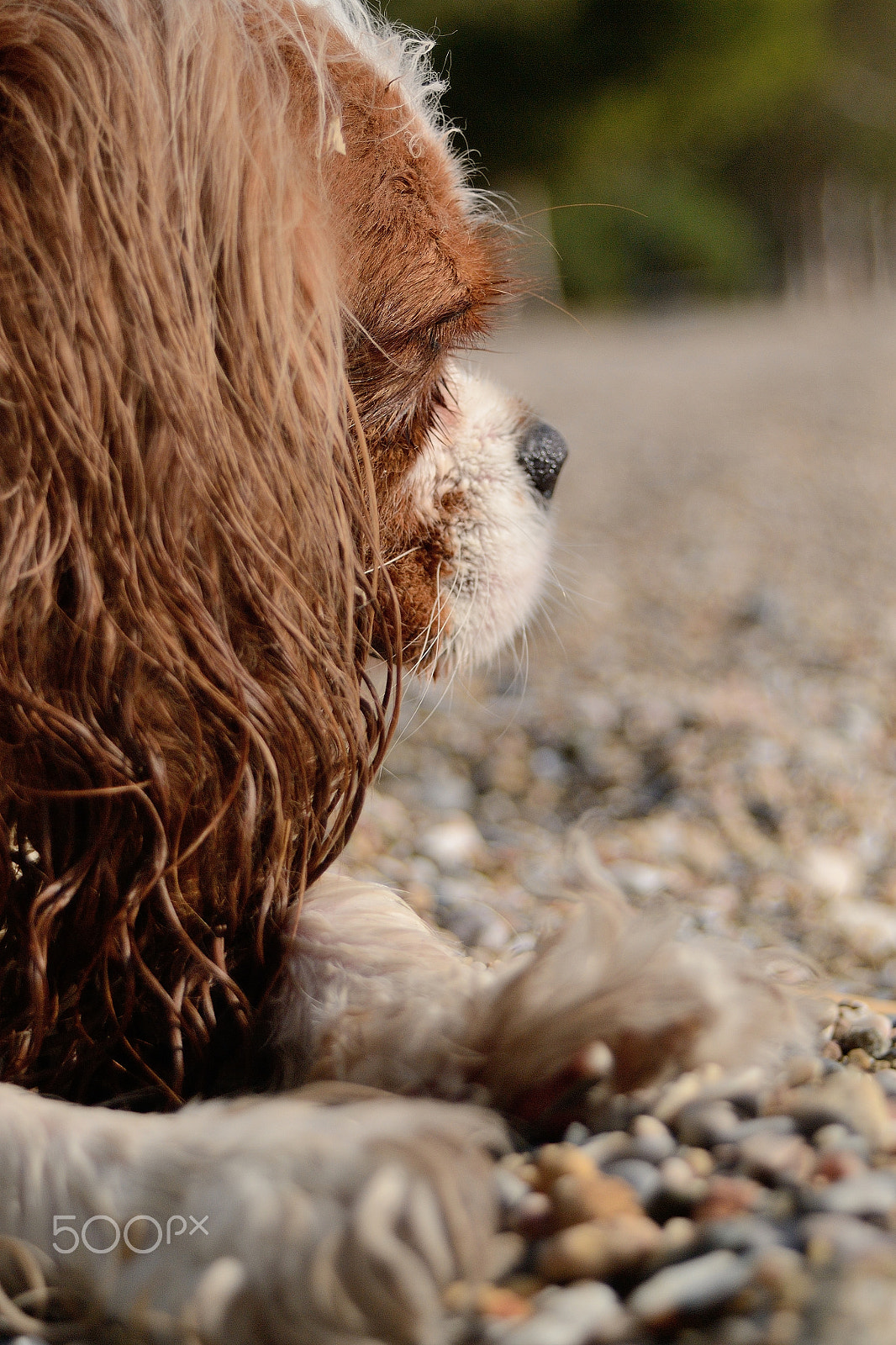 AF Zoom-Nikkor 28-80mm f/3.5-5.6D sample photo. Agent at the field photography