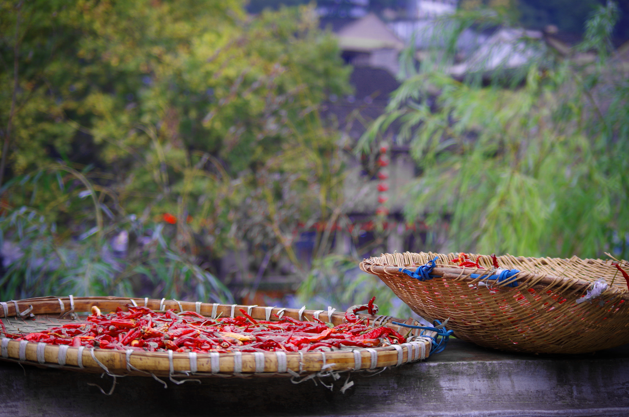 Pentax K-01 sample photo. Chili harvest photography
