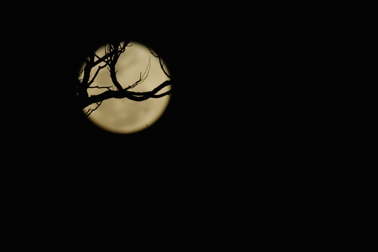 Pentax smc DA* 60-250mm F4.0 ED (IF) SDM sample photo. Moon photography