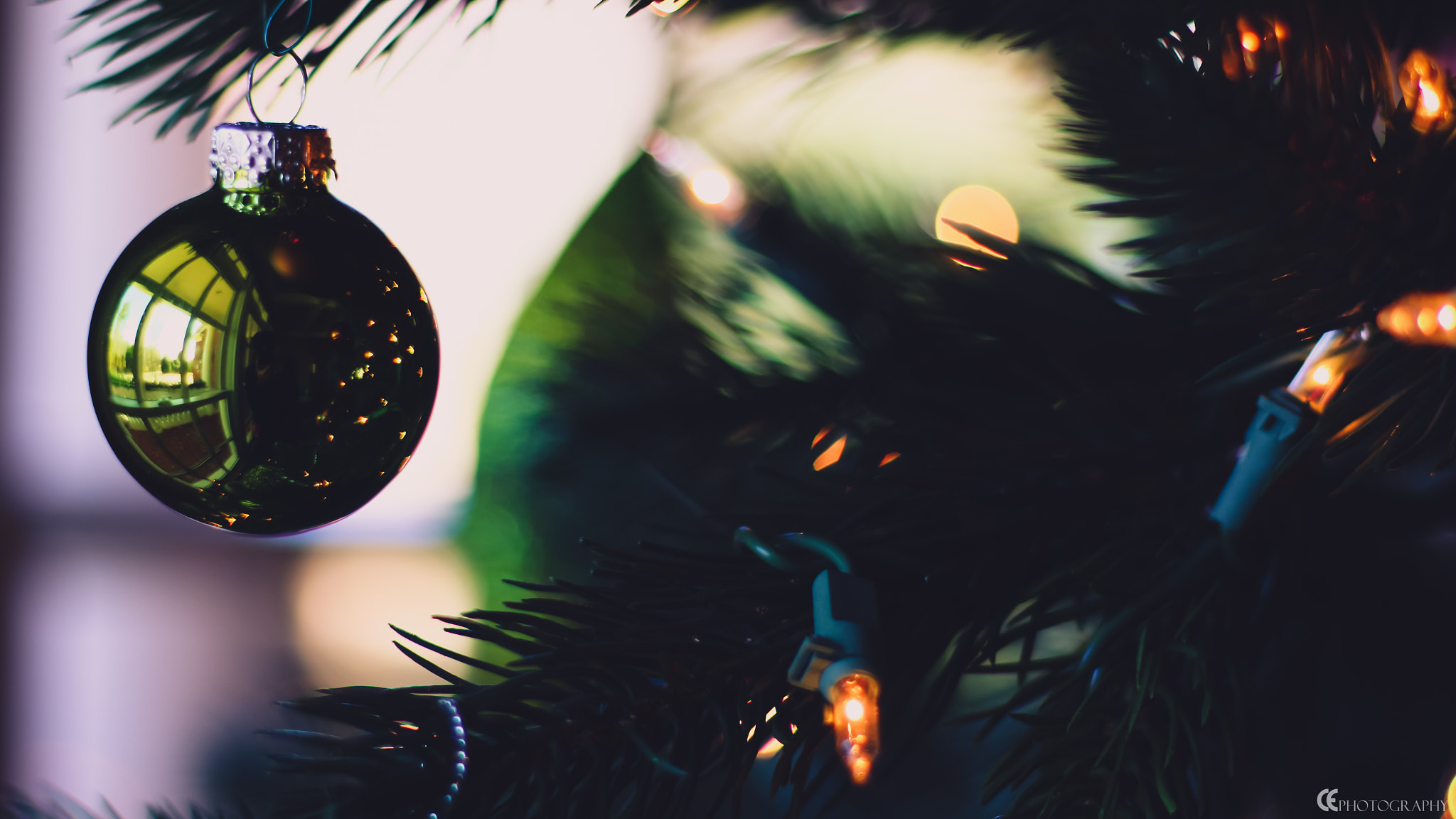 Canon EOS 650D (EOS Rebel T4i / EOS Kiss X6i) + Canon EF 50mm F1.8 II sample photo. Green ornament photography