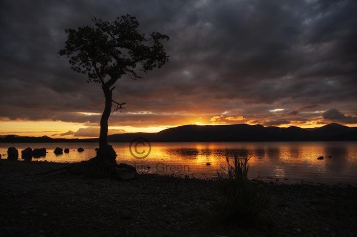 Nikon D700 sample photo. Sunset of burnished gold  over loch lomond at milarrochy bay  - photography