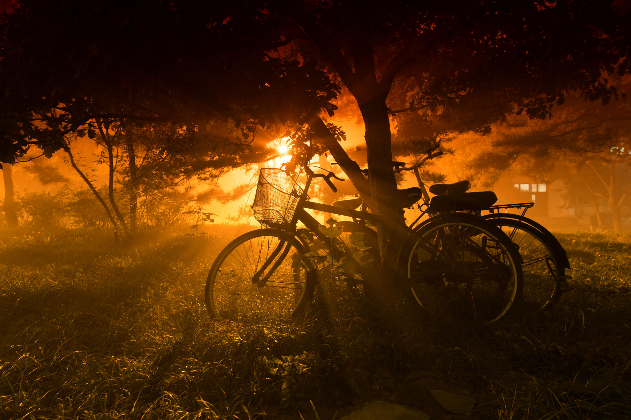 Nikon D3300 + Sigma 18-35mm F1.8 DC HSM Art sample photo. 午夜晨光 photography
