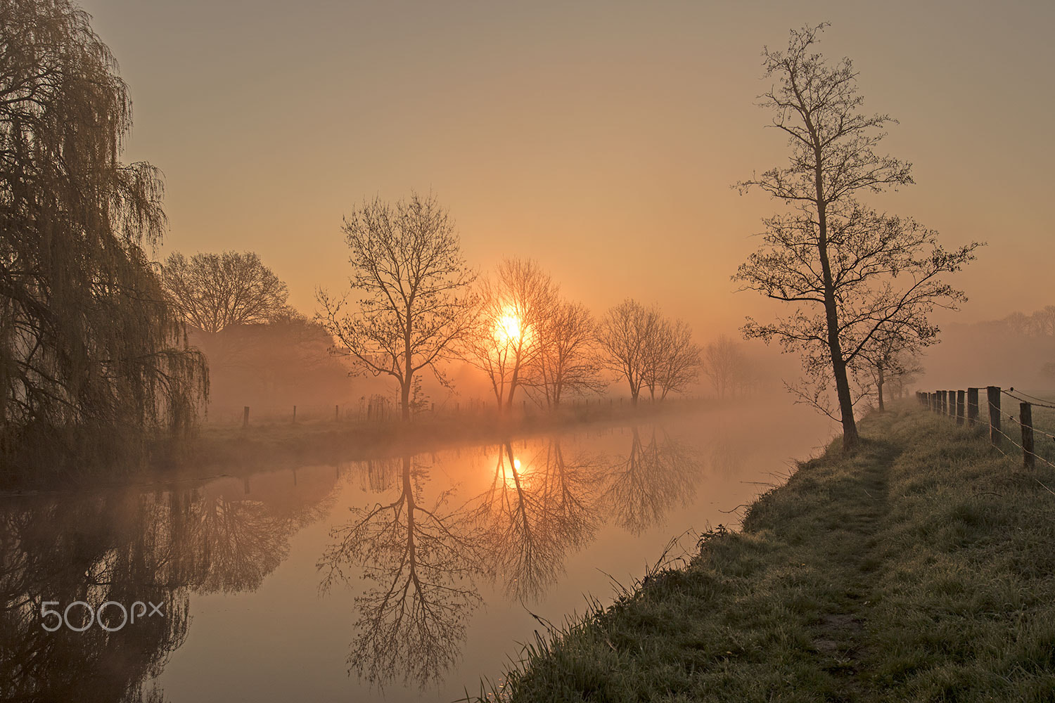 Canon EF 16-35mm F4L IS USM sample photo. In the morning photography