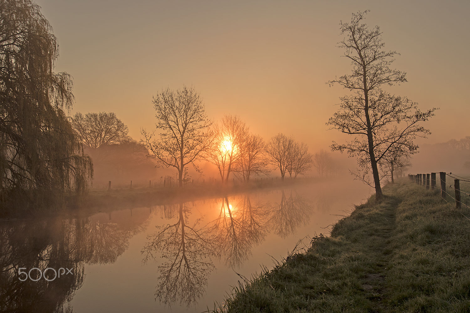 Canon EOS 7D Mark II + Canon EF 16-35mm F4L IS USM sample photo. In the morning photography