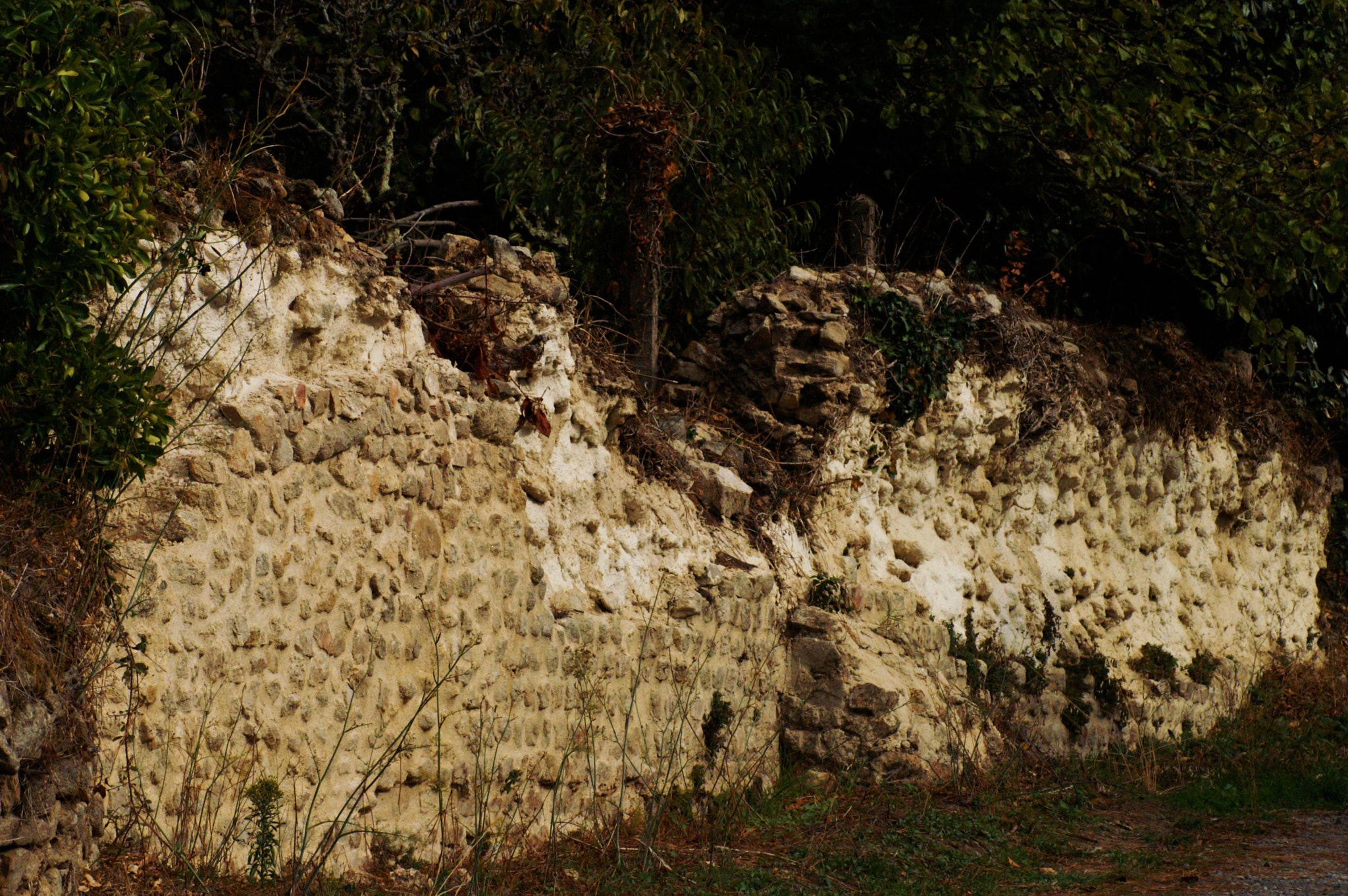 KONICA MINOLTA DYNAX 5D sample photo. Mur gallo-romain en ruine photography