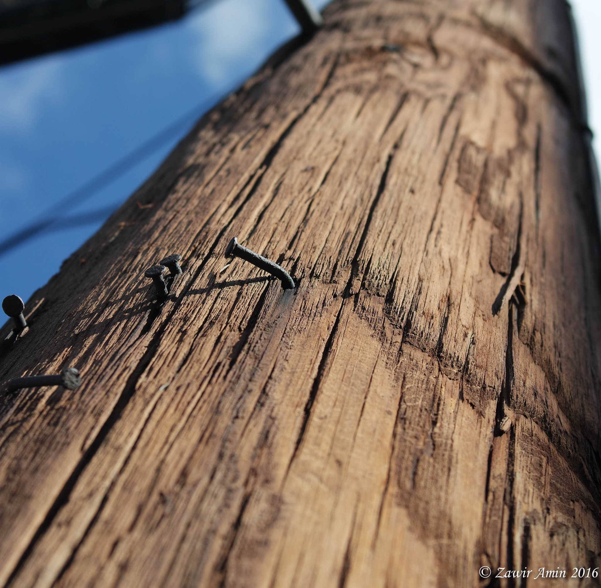Samsung NX3000 + NX 20-50mm F3.5-5.6 sample photo. Nailed it! photography