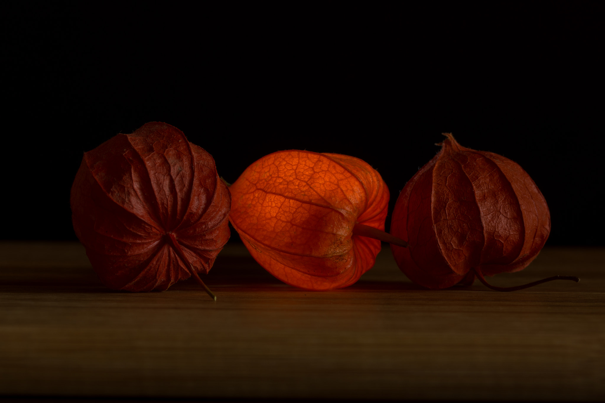 Sony SLT-A77 + 105mm F2.8 sample photo. Off - on - off photography