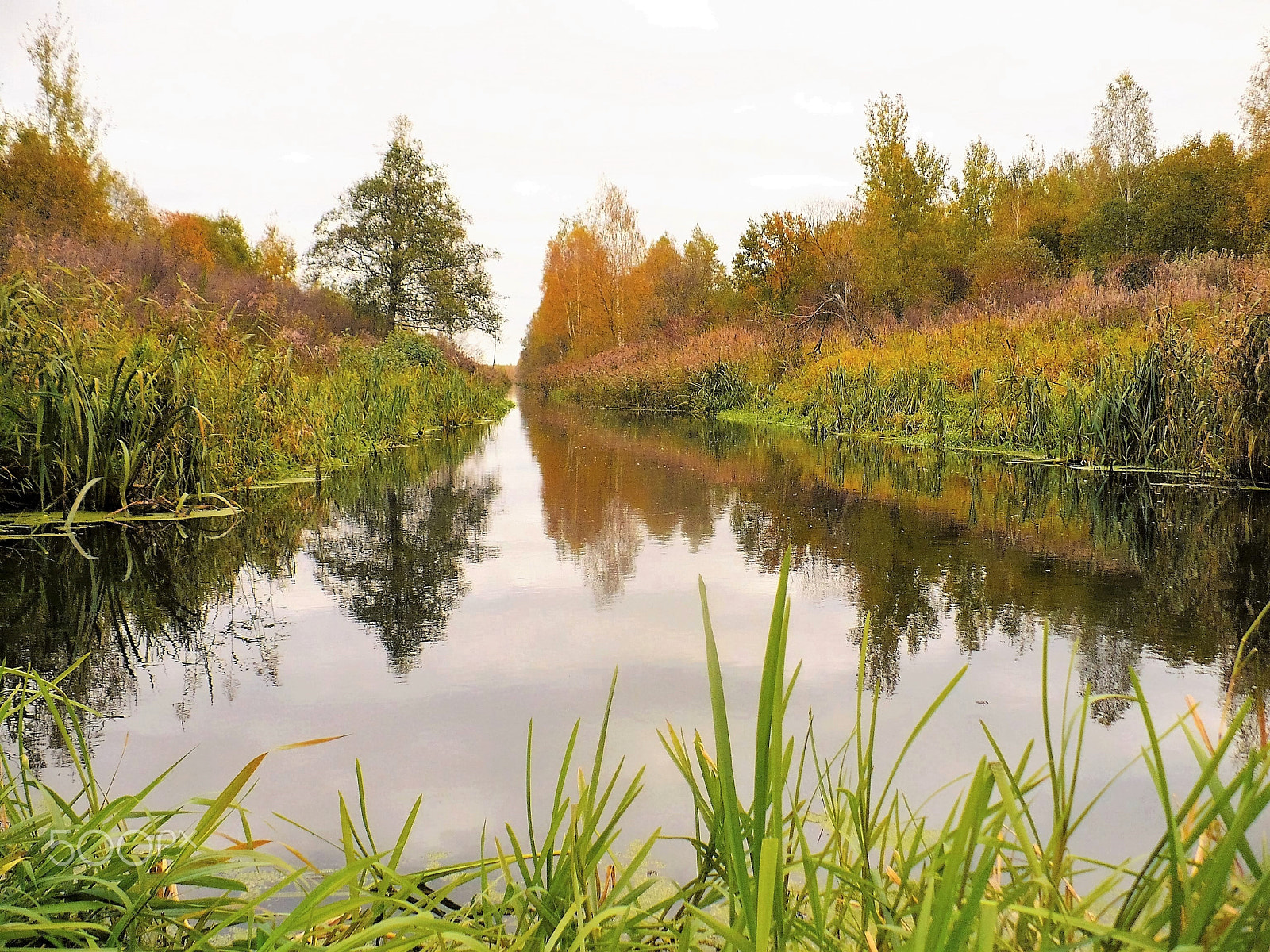 Panasonic DMC-LZ7 sample photo. Autumn. Осень. photography