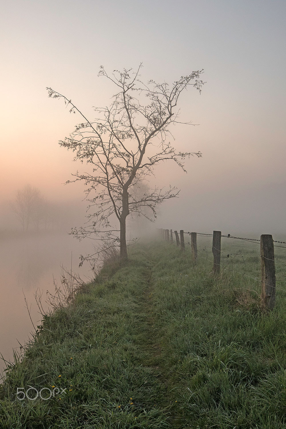Canon EF 16-35mm F4L IS USM sample photo. In the morning ii photography