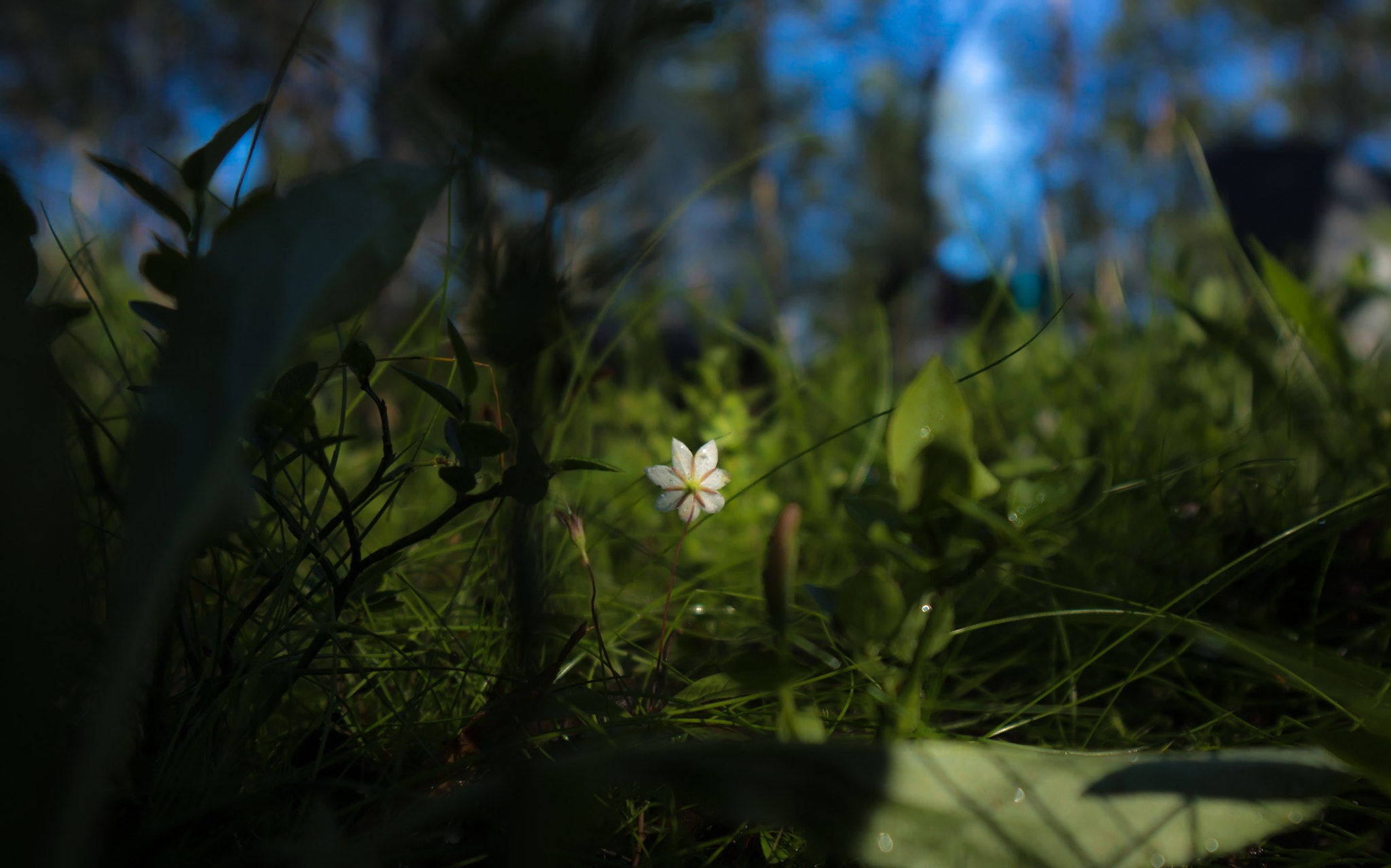 Sony Alpha NEX-7 + Sony E 10-18mm F4 OSS sample photo