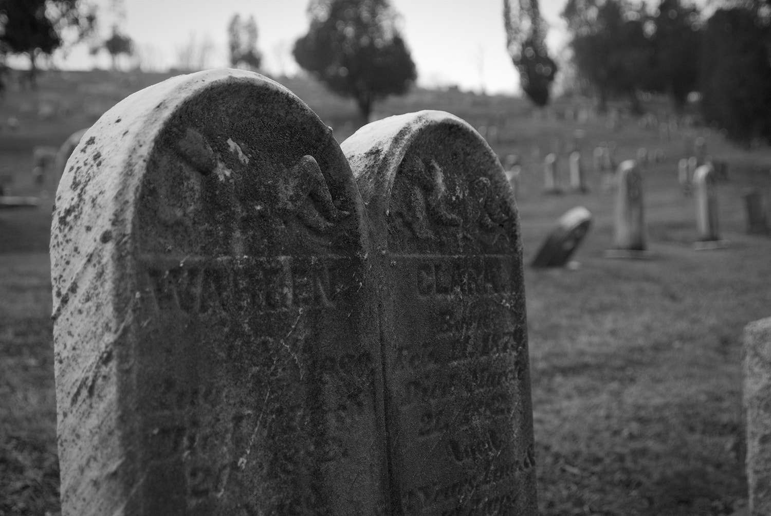 Nikon D200 sample photo. Til death do us part photography