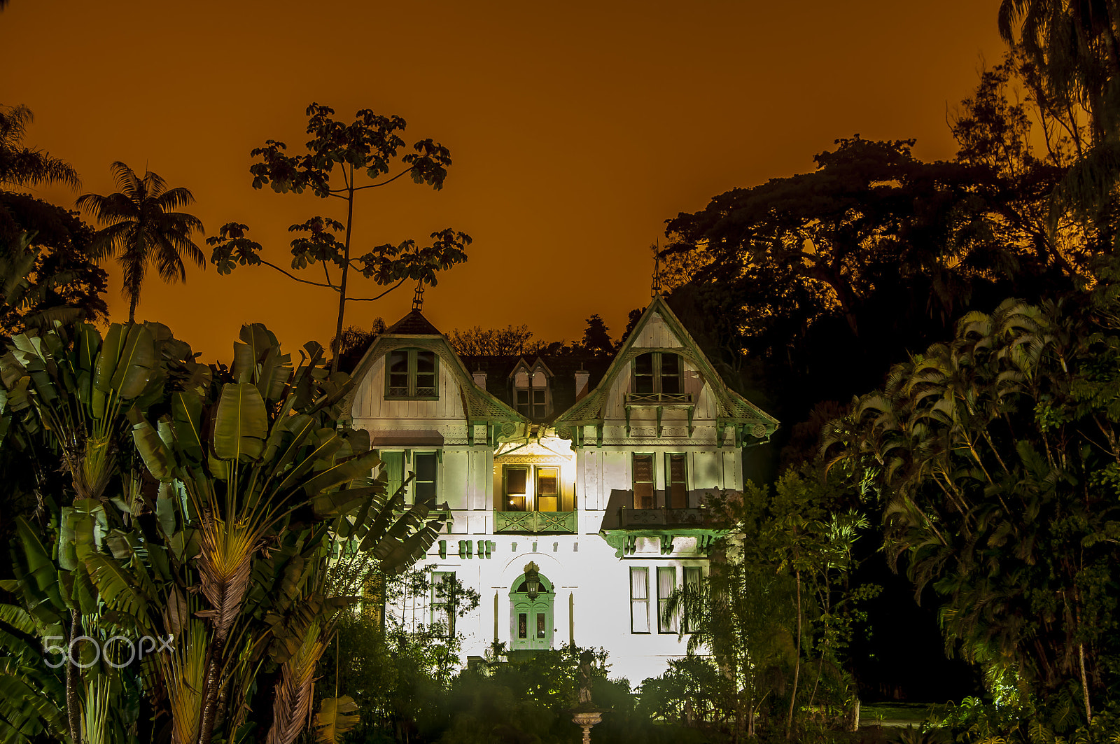 Nikon D300 sample photo. 7 errors house photography