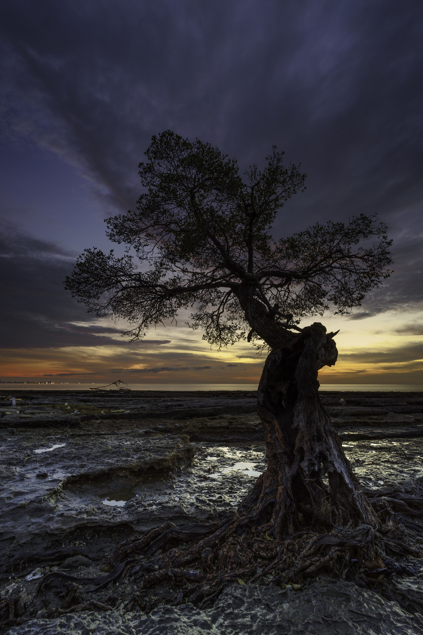 Sony a7 II + Voigtlander SUPER WIDE-HELIAR 15mm F4.5 III sample photo. Night friend photography