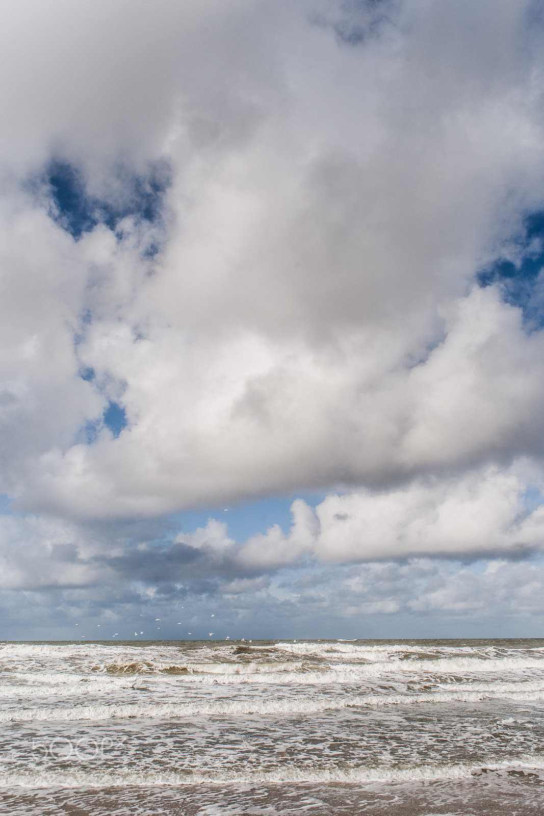 Sony 28mm F2.8 sample photo. Wind and waves create foam on the beach photography