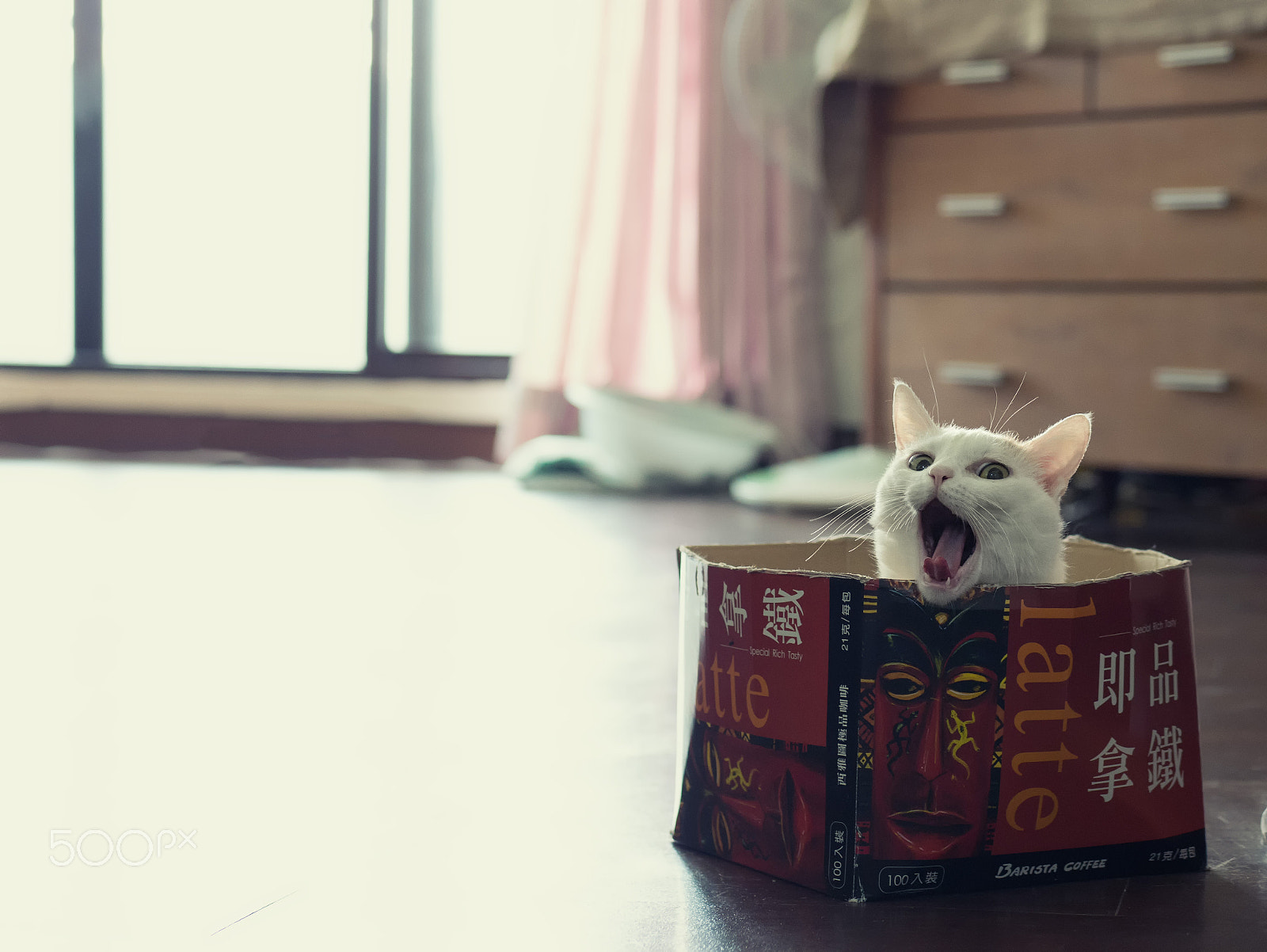 Panasonic Lumix G 42.5mm F1.7 ASPH Power OIS sample photo. Do you need some coffee :) photography