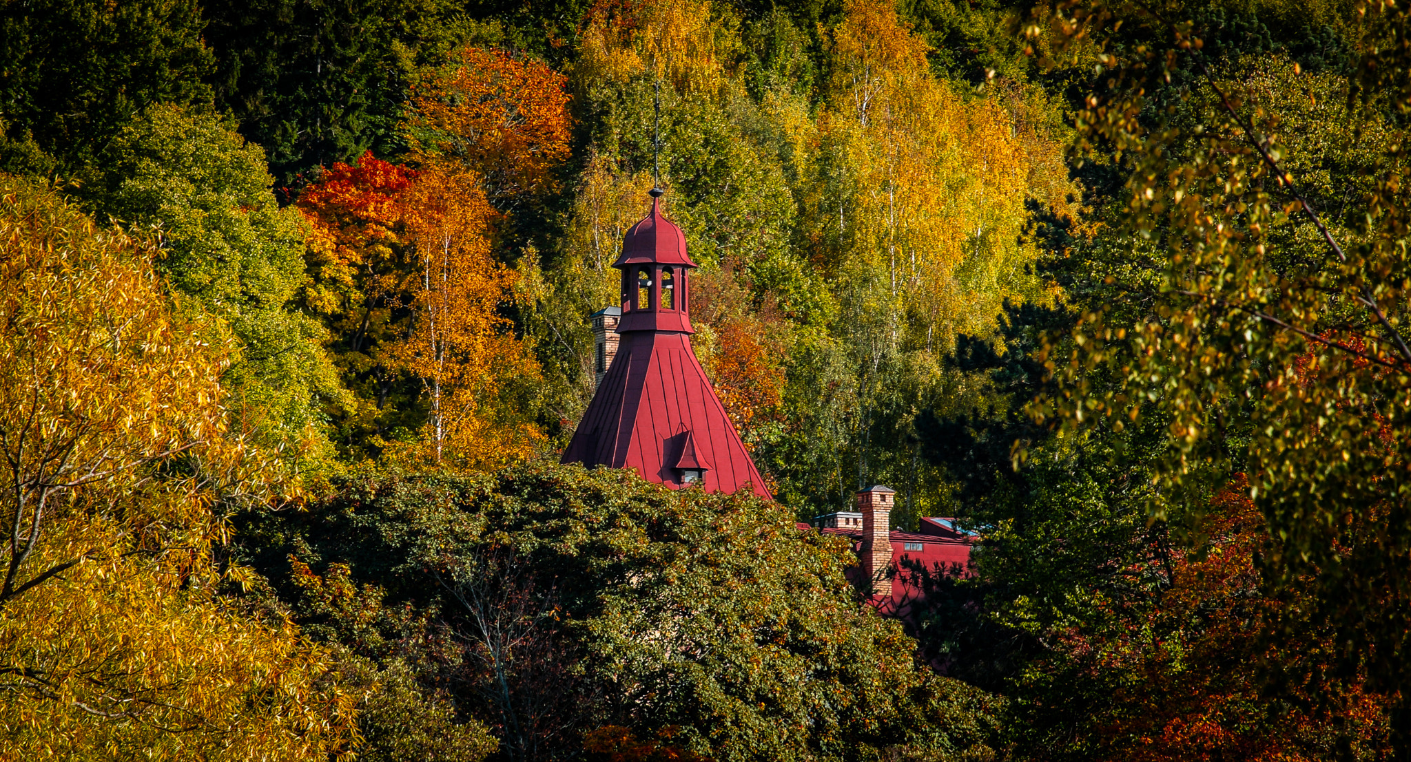 Fujifilm X-E1 + Fujifilm XF 55-200mm F3.5-4.8 R LM OIS sample photo. Red photography