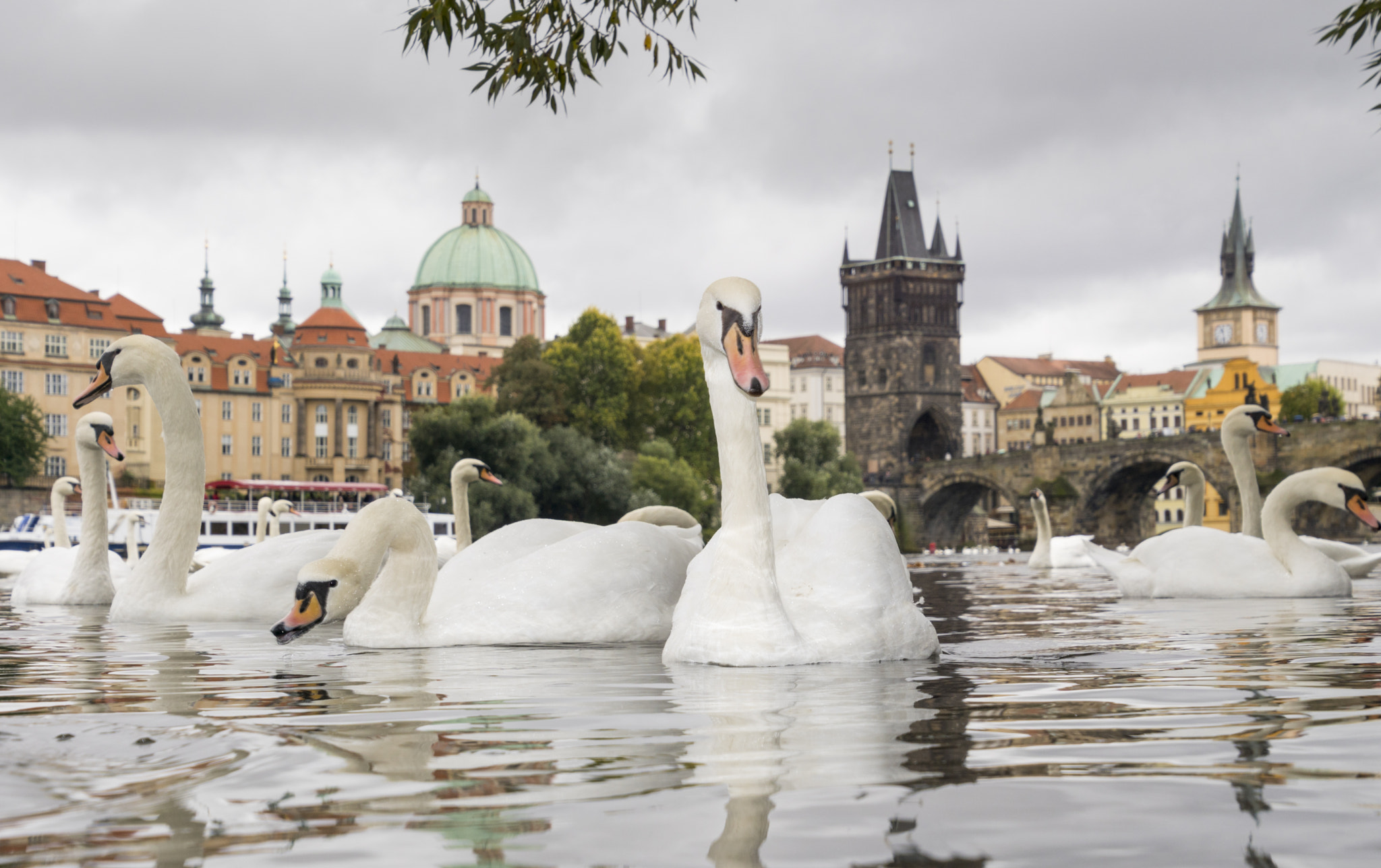 Tamron 16-300mm F3.5-6.3 Di II VC PZD Macro sample photo. Near the charles bridge photography