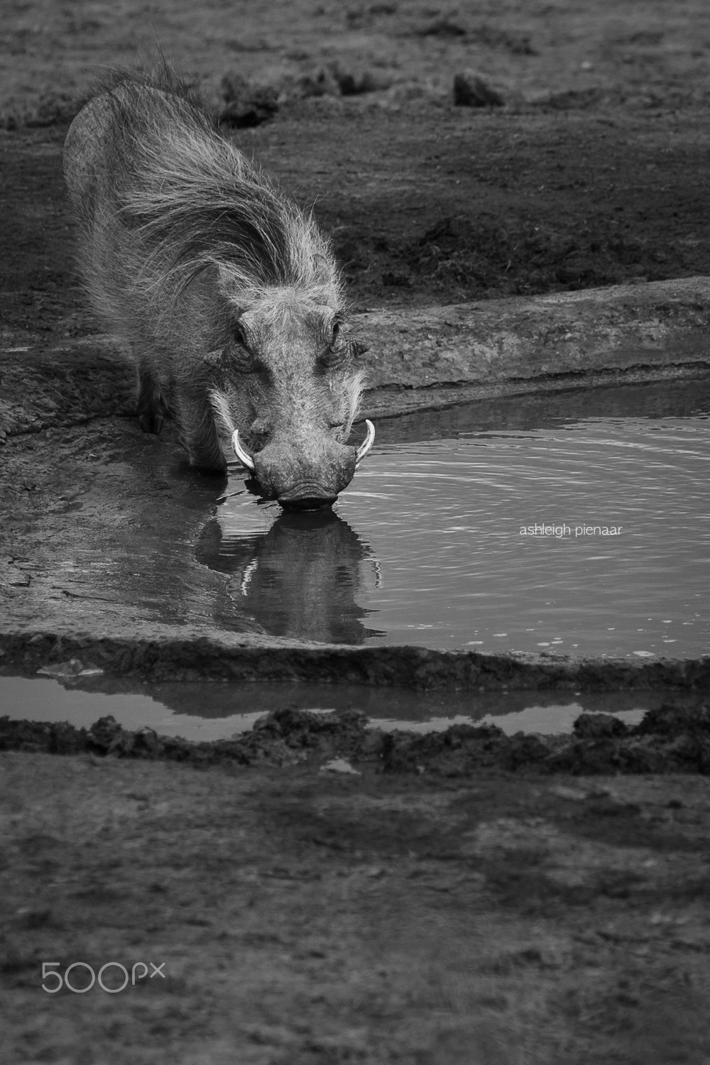 Canon EF 70-200mm F2.8L USM sample photo. Water's edge photography