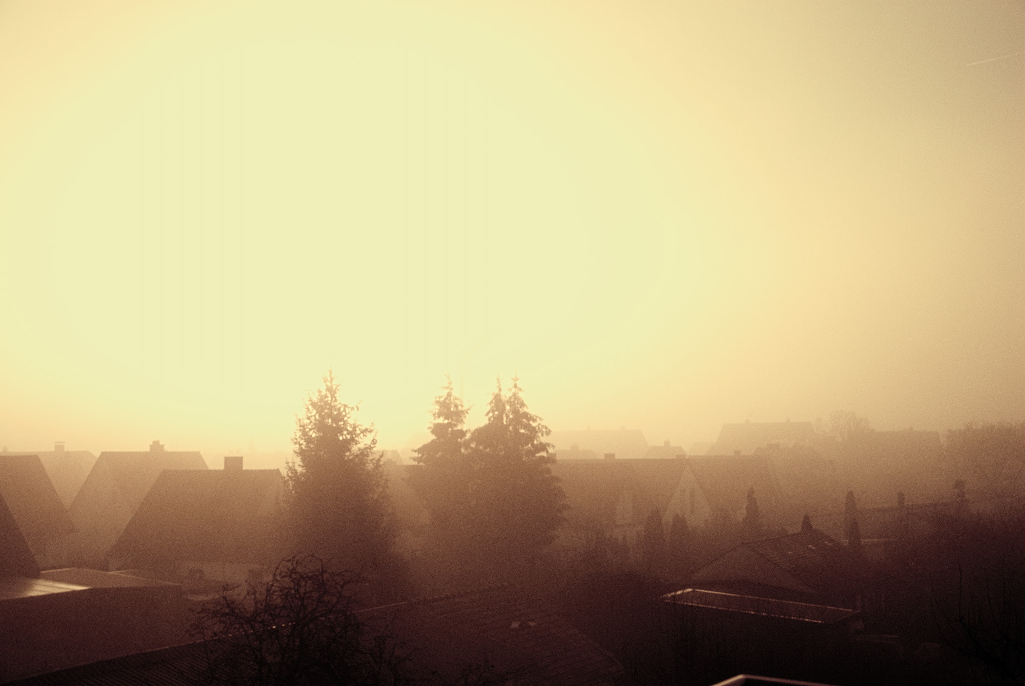Nikon D200 sample photo. Early morning mist photography