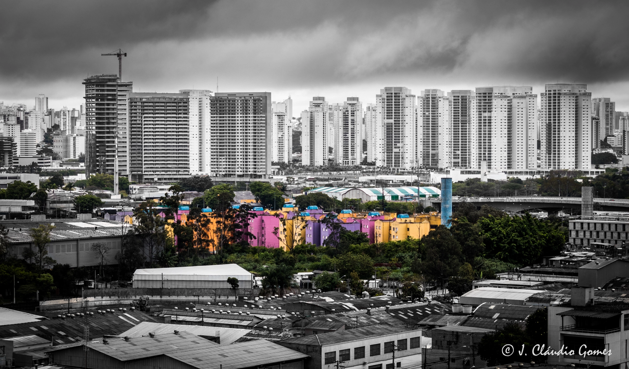 Canon EF-S 55-250mm F4-5.6 IS II sample photo. Selective colors photography