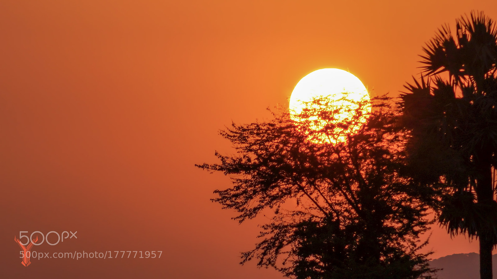 Sony SLT-A58 sample photo. Pleasing sunset photography
