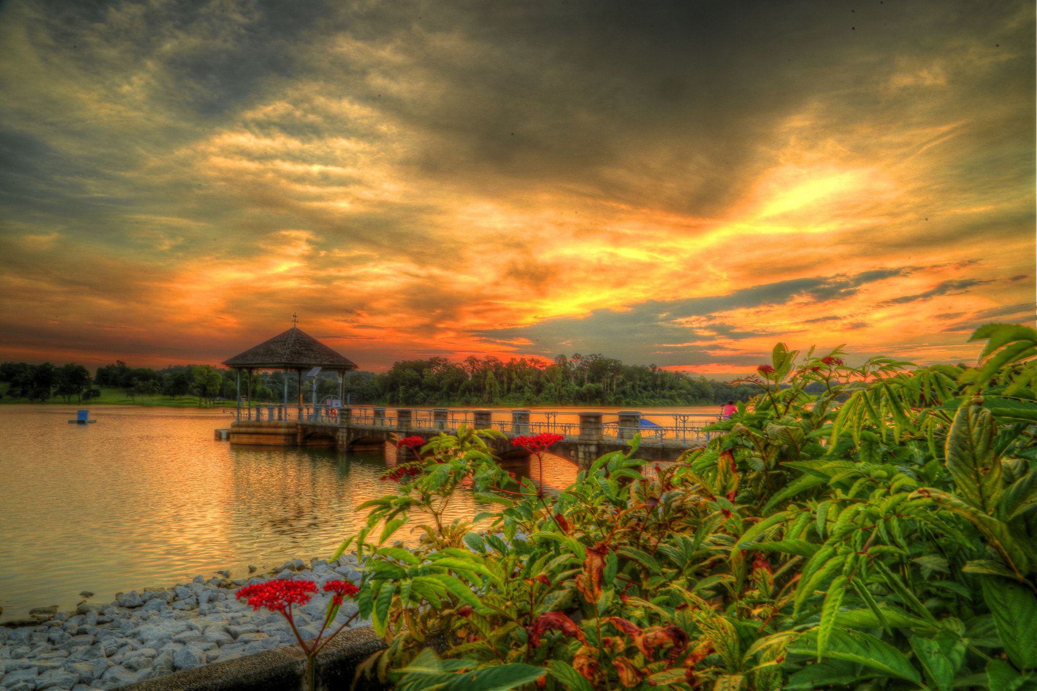 Canon EF 100-300mm f/5.6L sample photo. Sunset @ pierce reservoir, singapore photography