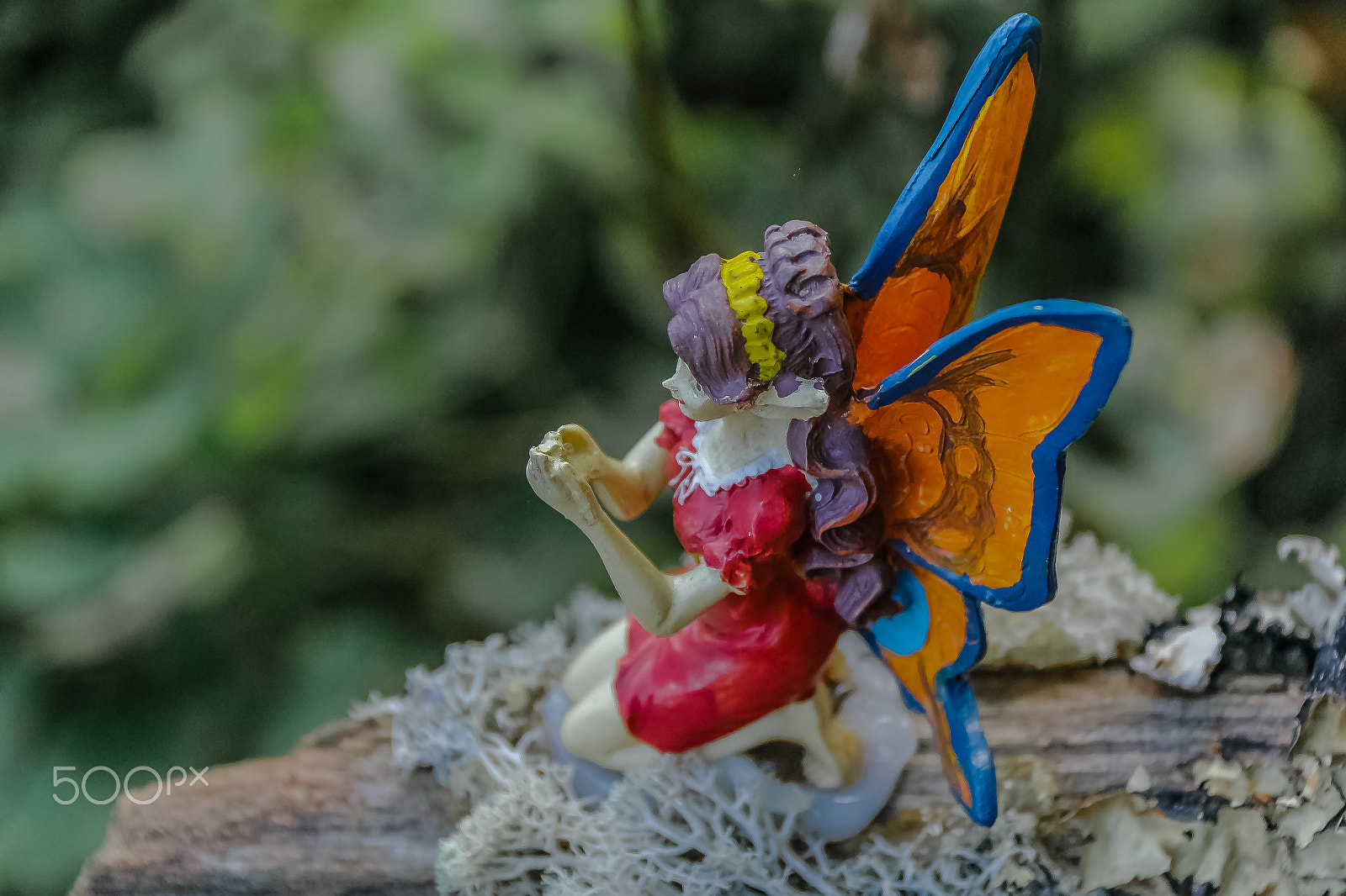 Canon EOS 100D (EOS Rebel SL1 / EOS Kiss X7) sample photo. The fairy in  red photography