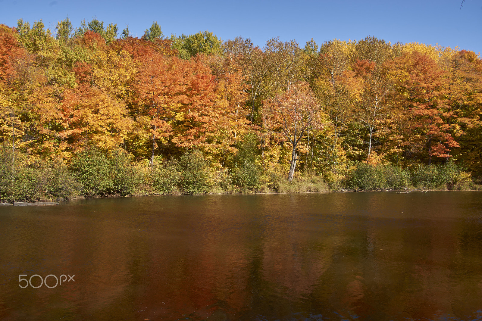 Sony SLT-A65 (SLT-A65V) + DT 18-270mm F3.5-6.3 SSM sample photo. Couleurs en automne photography