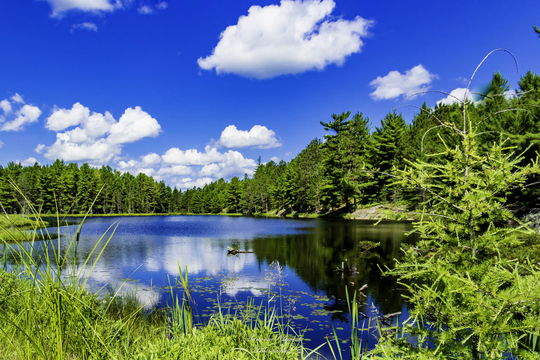 Canon EF-S 17-85mm F4-5.6 IS USM sample photo. Kearny lake photography